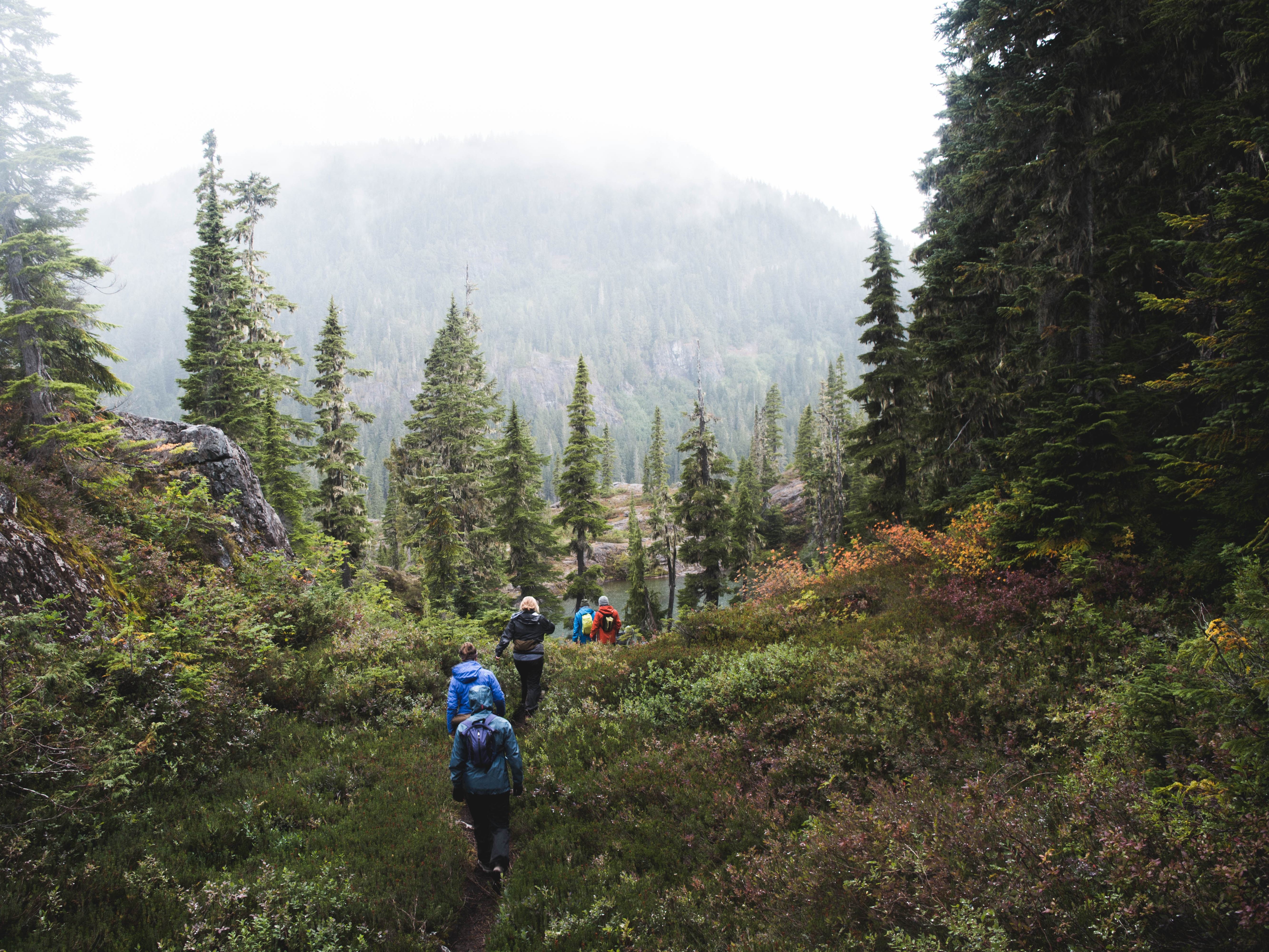 wandelen op vancouver island