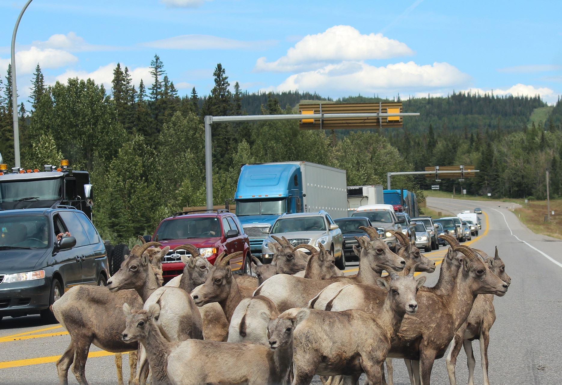 Jasper National Park Canada