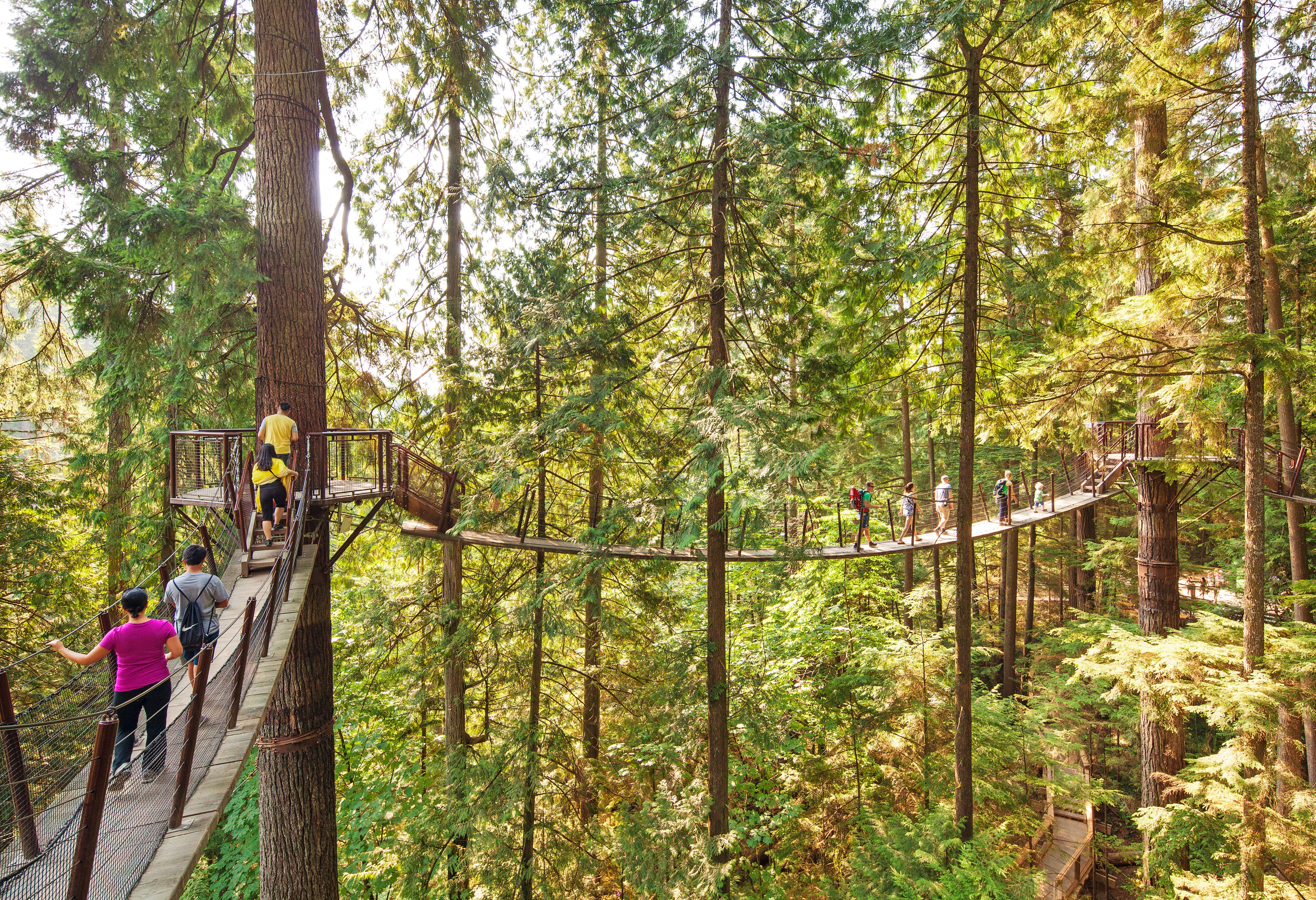 Capilano suspension bridge Vancouver Canada