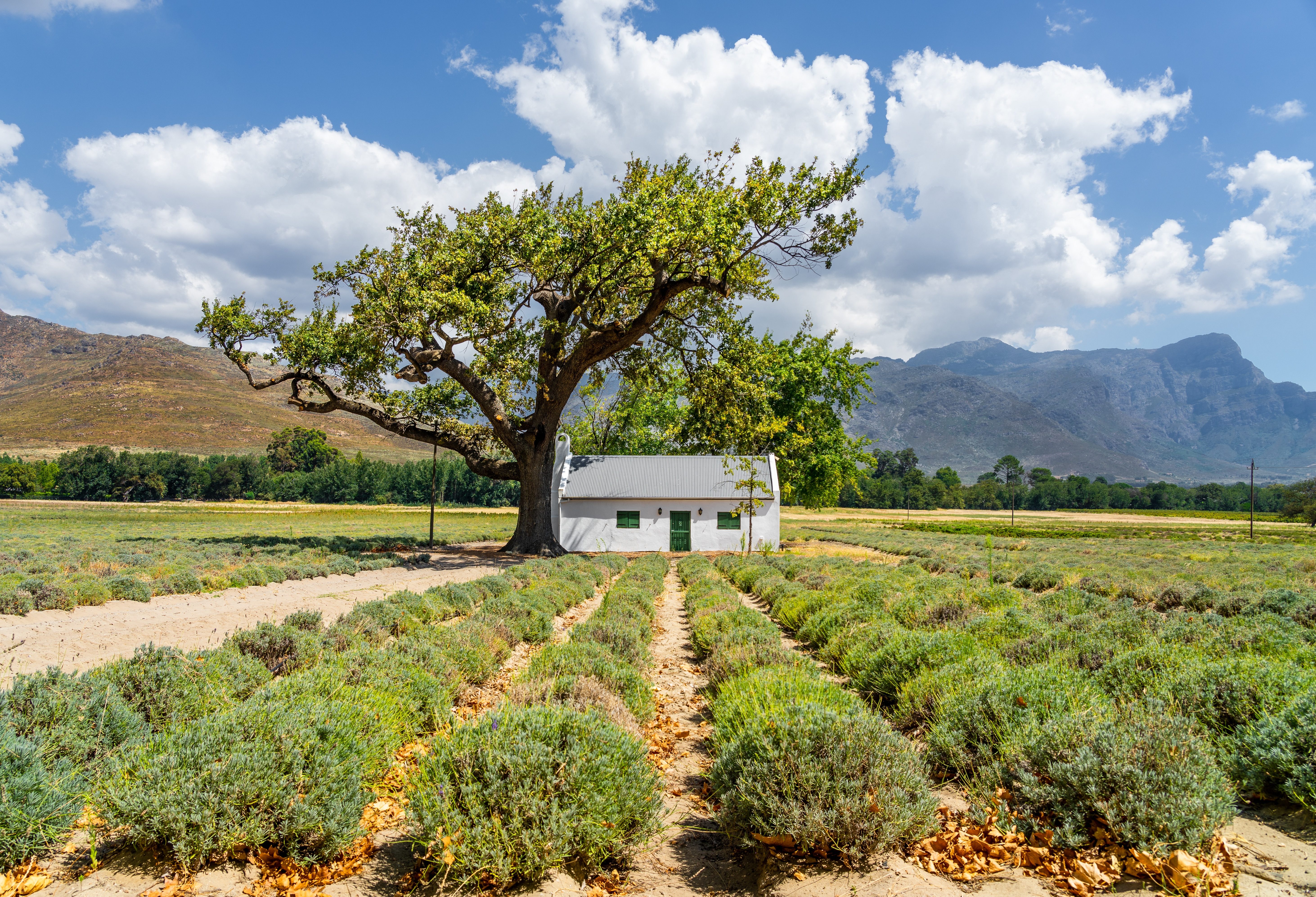 Franschhoek Zuid Afrika