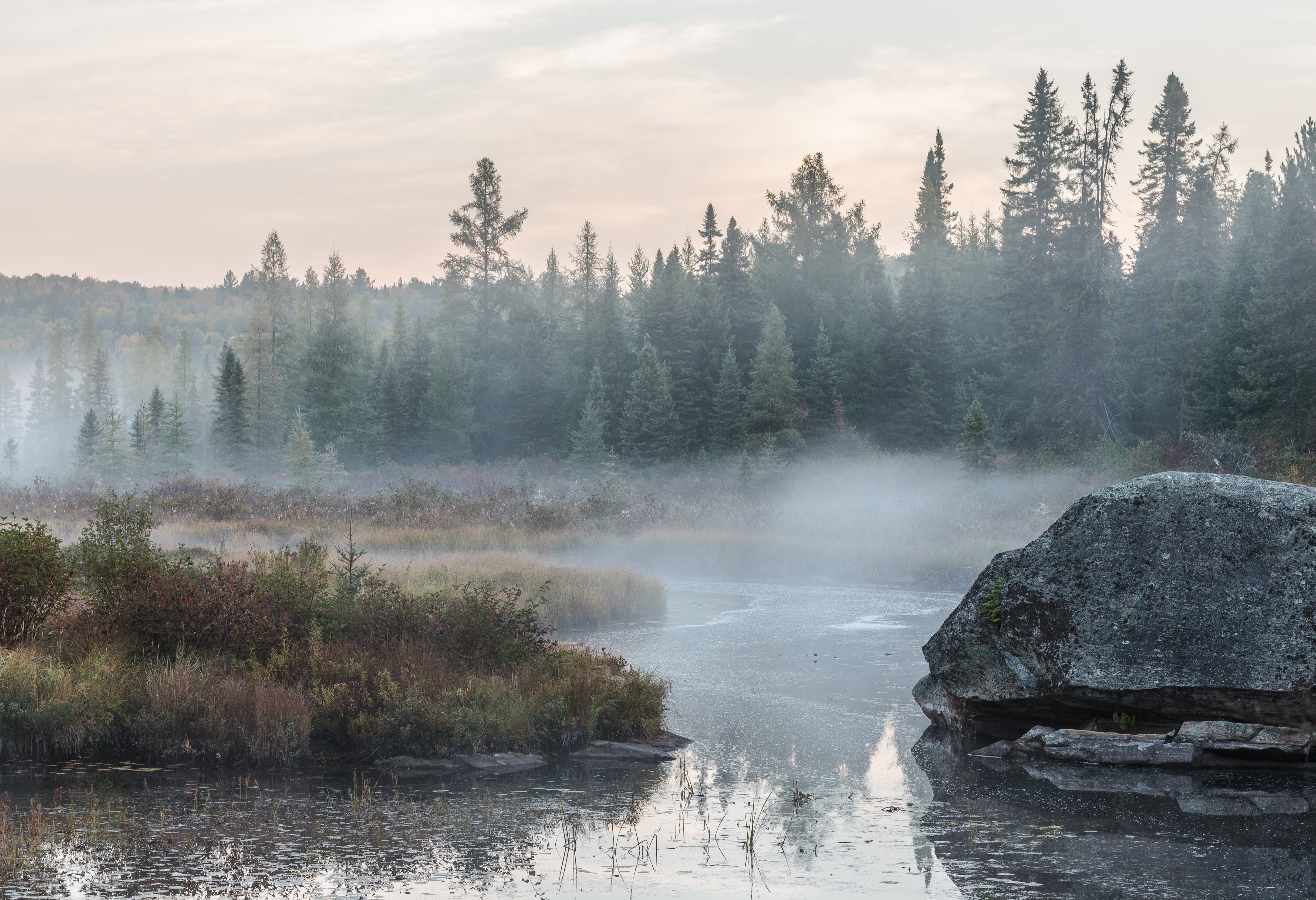 Kanoën in Algonquin Provincial Park Canada