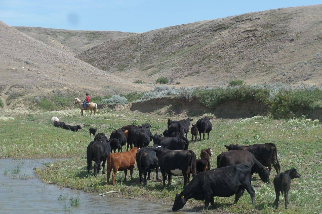 La Reata Ranch Saskatoon Canada