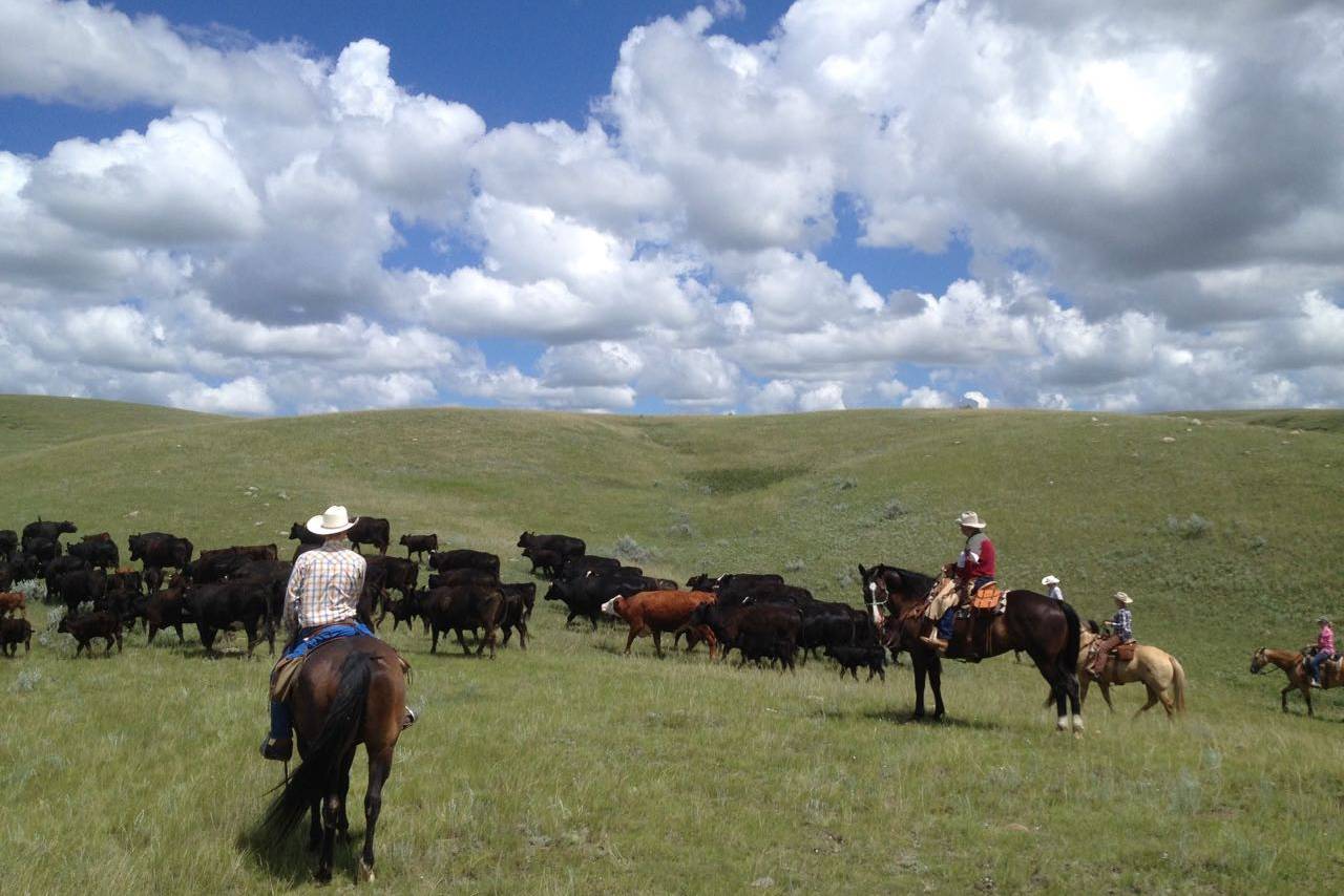 La Reata Ranch Saskatoon Canada