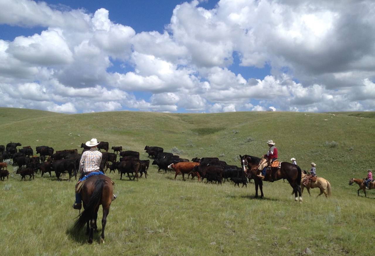 La Reata Ranch Saskatoon Canada