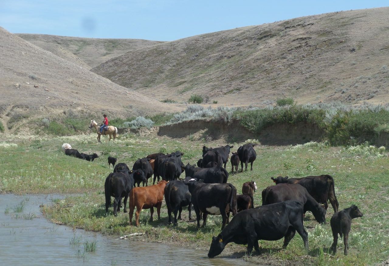La Reata Ranch Saskatoon Canada