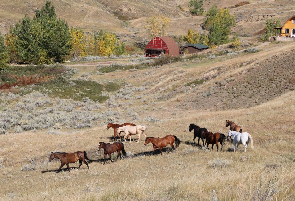La Reata Ranch Saskatoon Canada