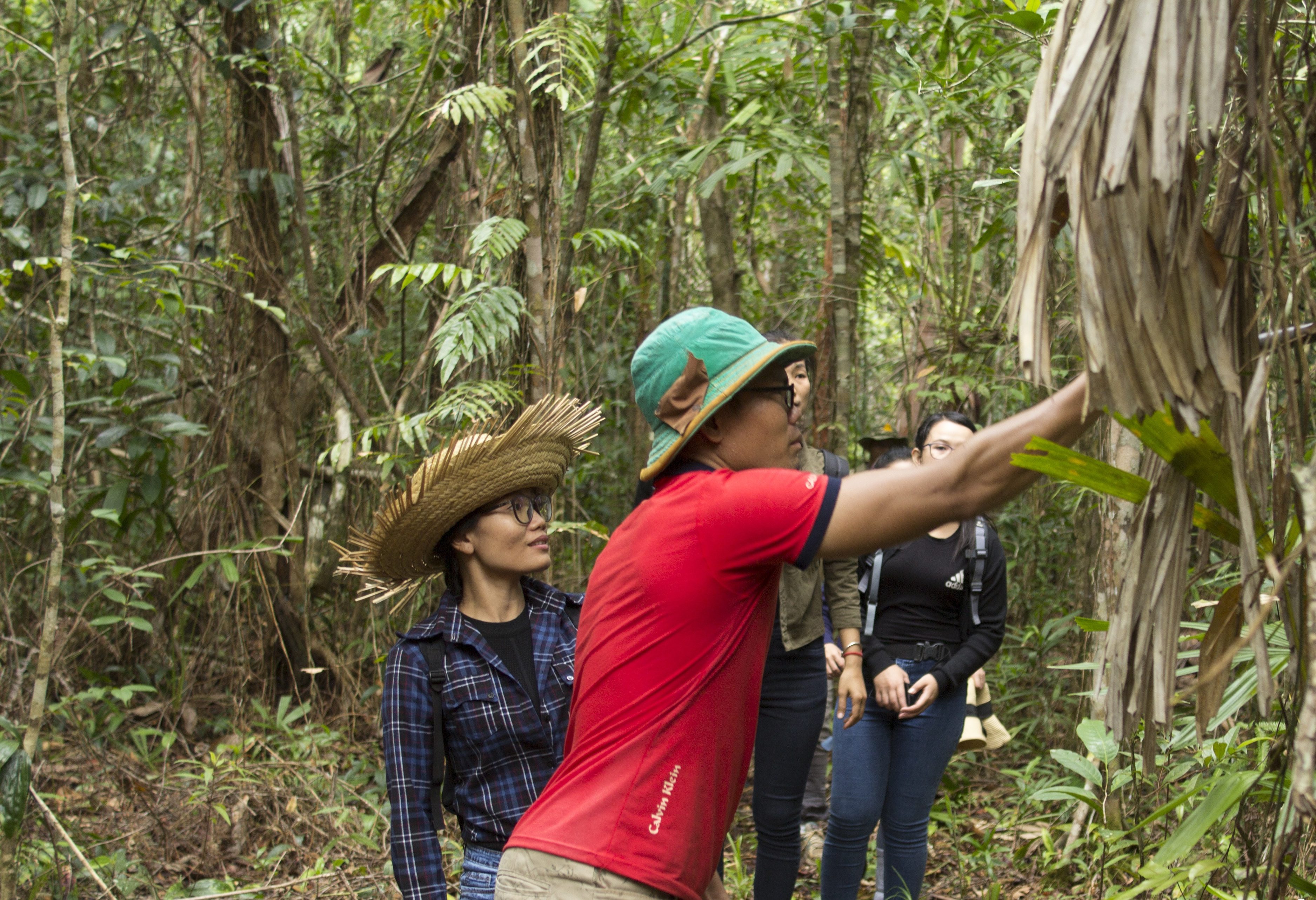 Wandeling in de Cardamom Mountains in Cambodja