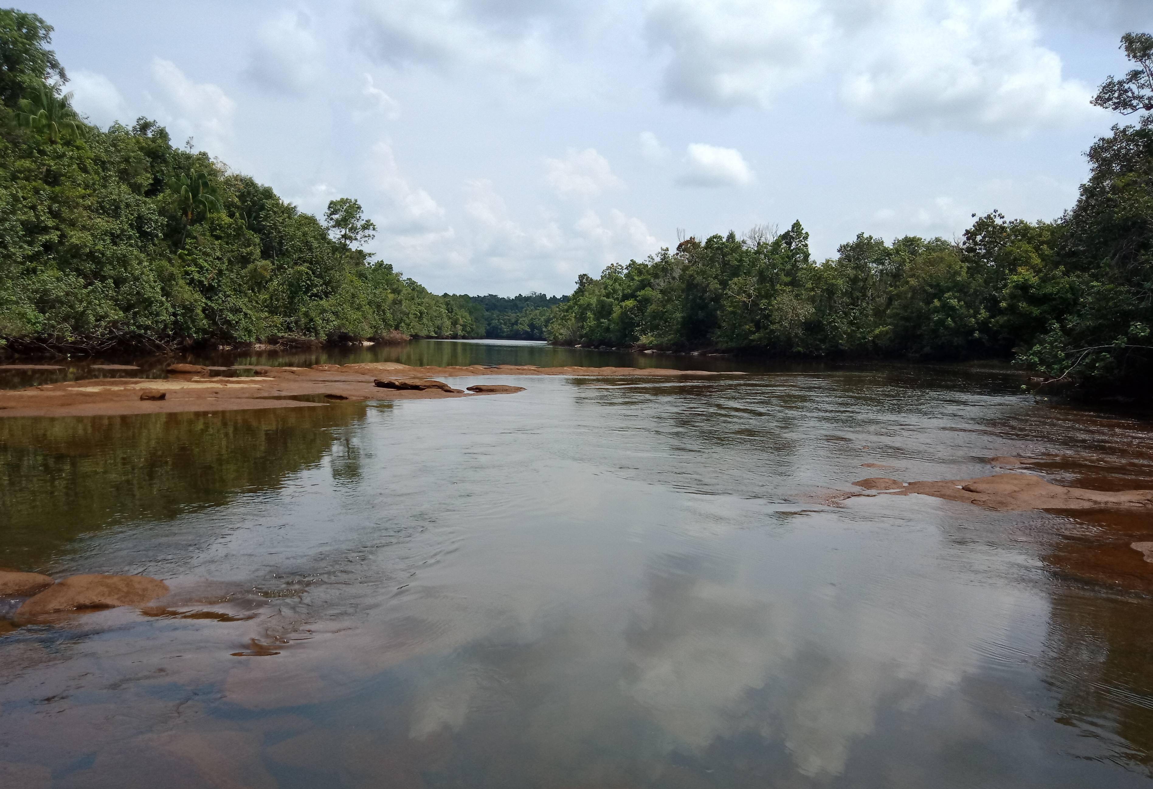 Natuur in de Cardamom Mountains in Cambodja