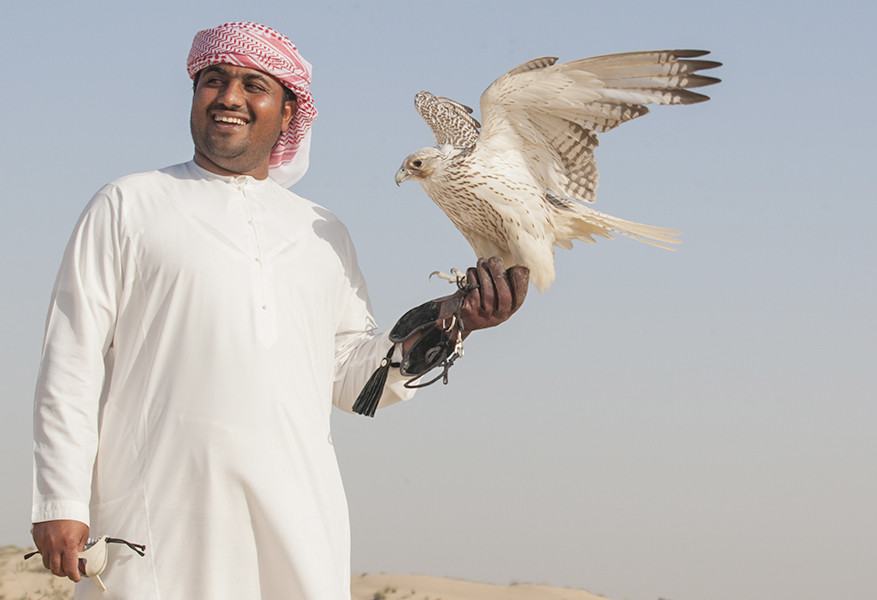 Valkenier Bab al Shams Resort woestijn Dubai