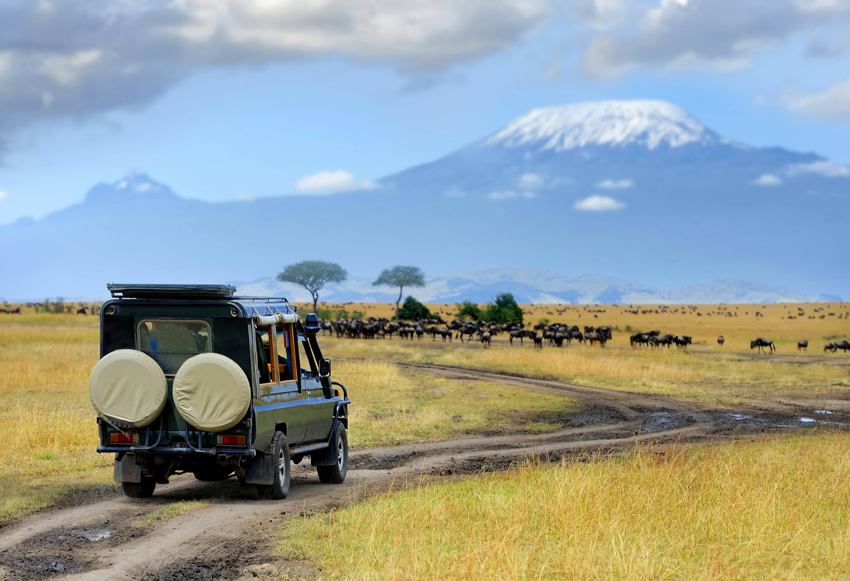 Op safari in het Amboseli National Park in Kenia