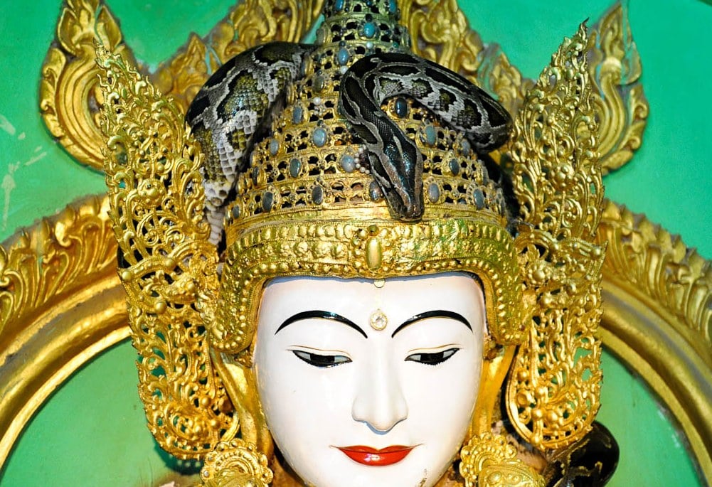 Slangen tempel Mandalay Myanmar