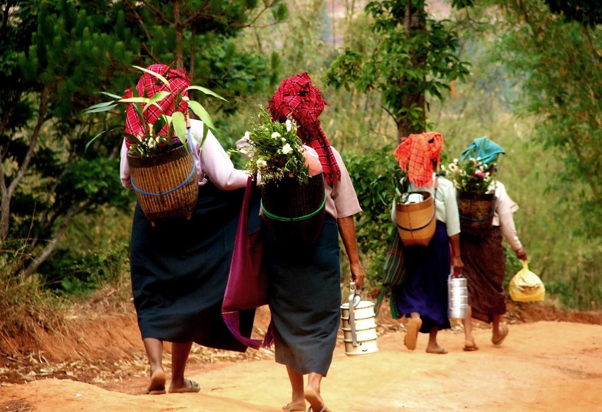 Trekking Kalaw Myanmar