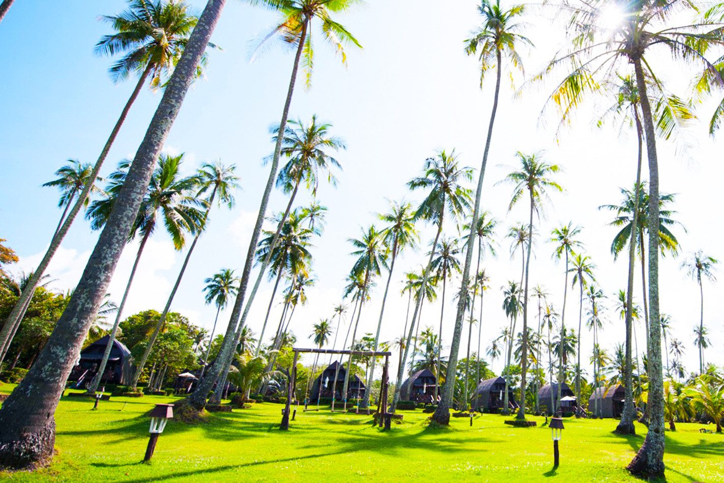 Tuin met bungaloin het Koh Kood Beach Resort in Thailandws