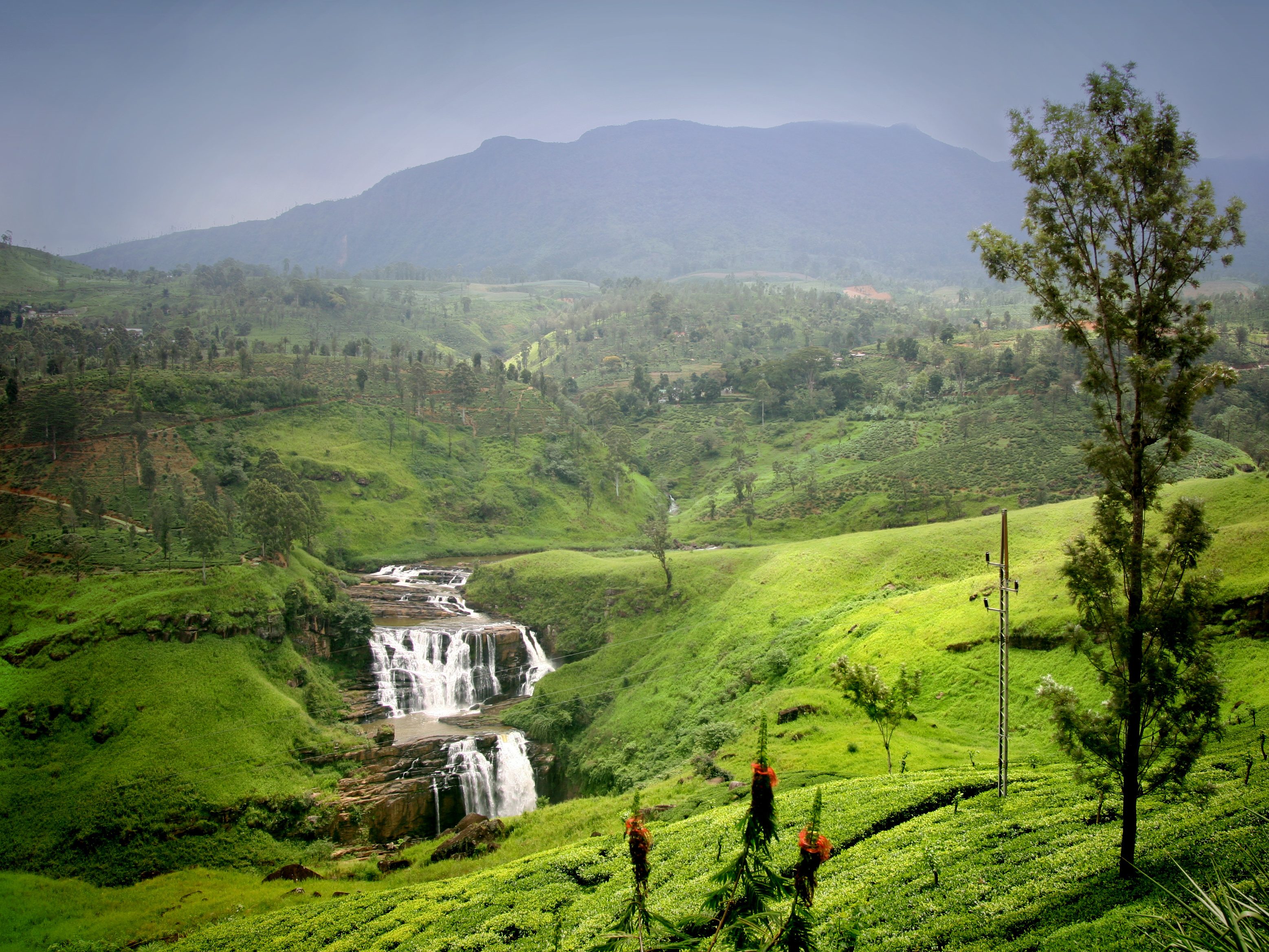 Республика шри. Nuwara Eliya Шри Ланка. Шри Ланка территория. Горы на Цейлоне. Остров Цейлон.