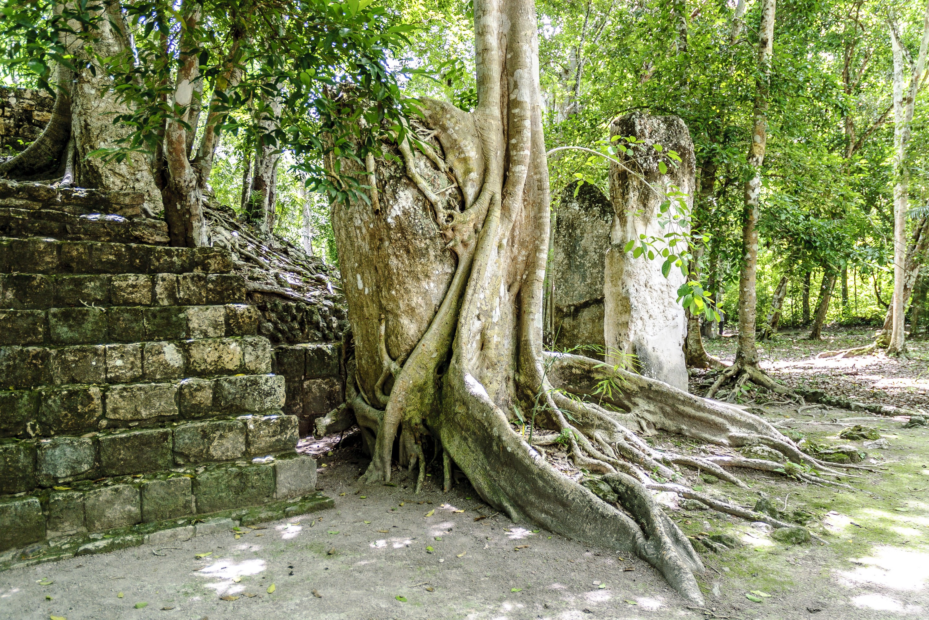 Calakmul Maya stad Xpujil Yucatan Mexico