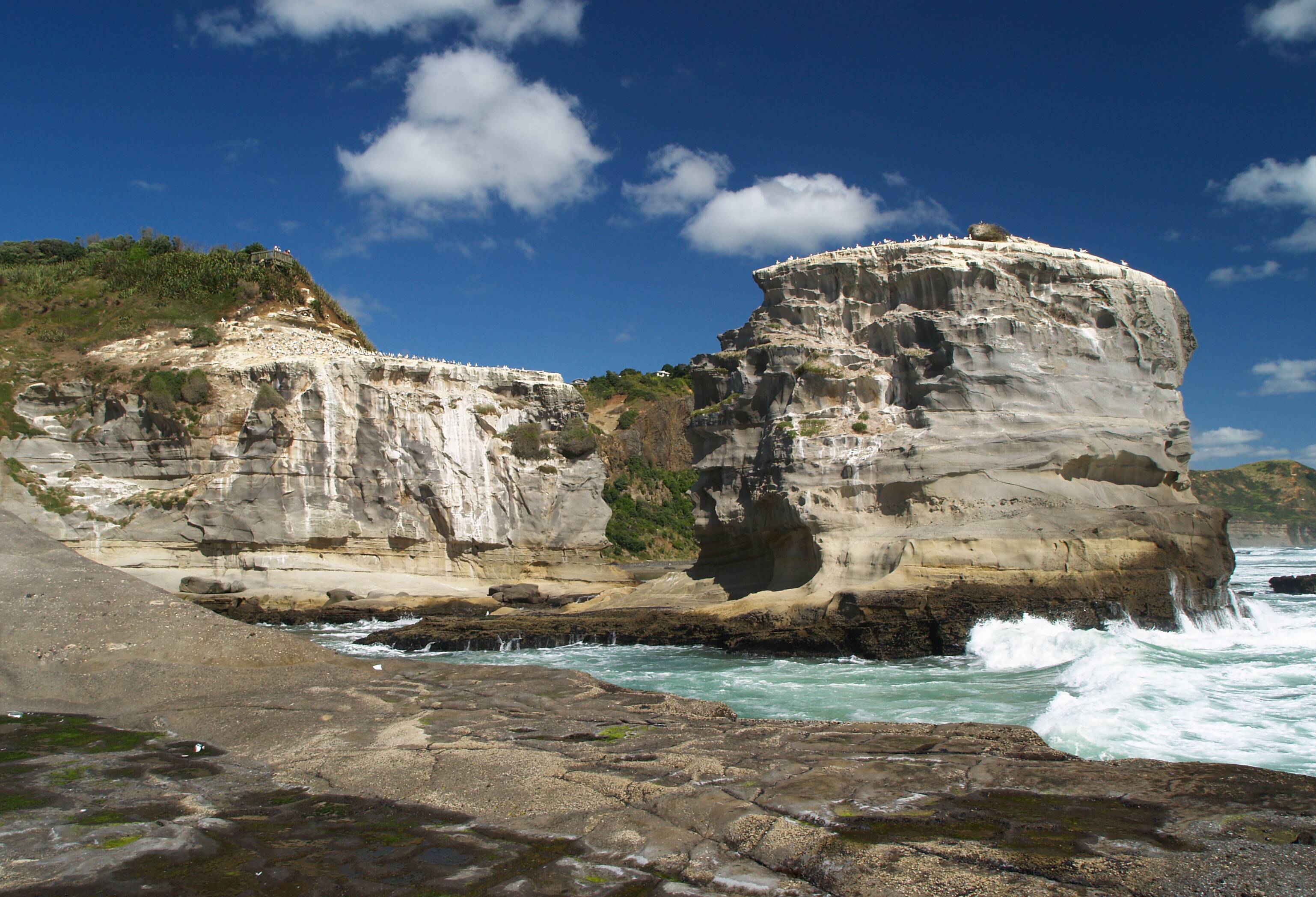 Muriwai Beach aan de westkust van het Noordereiland van Nieuw-Zeeland