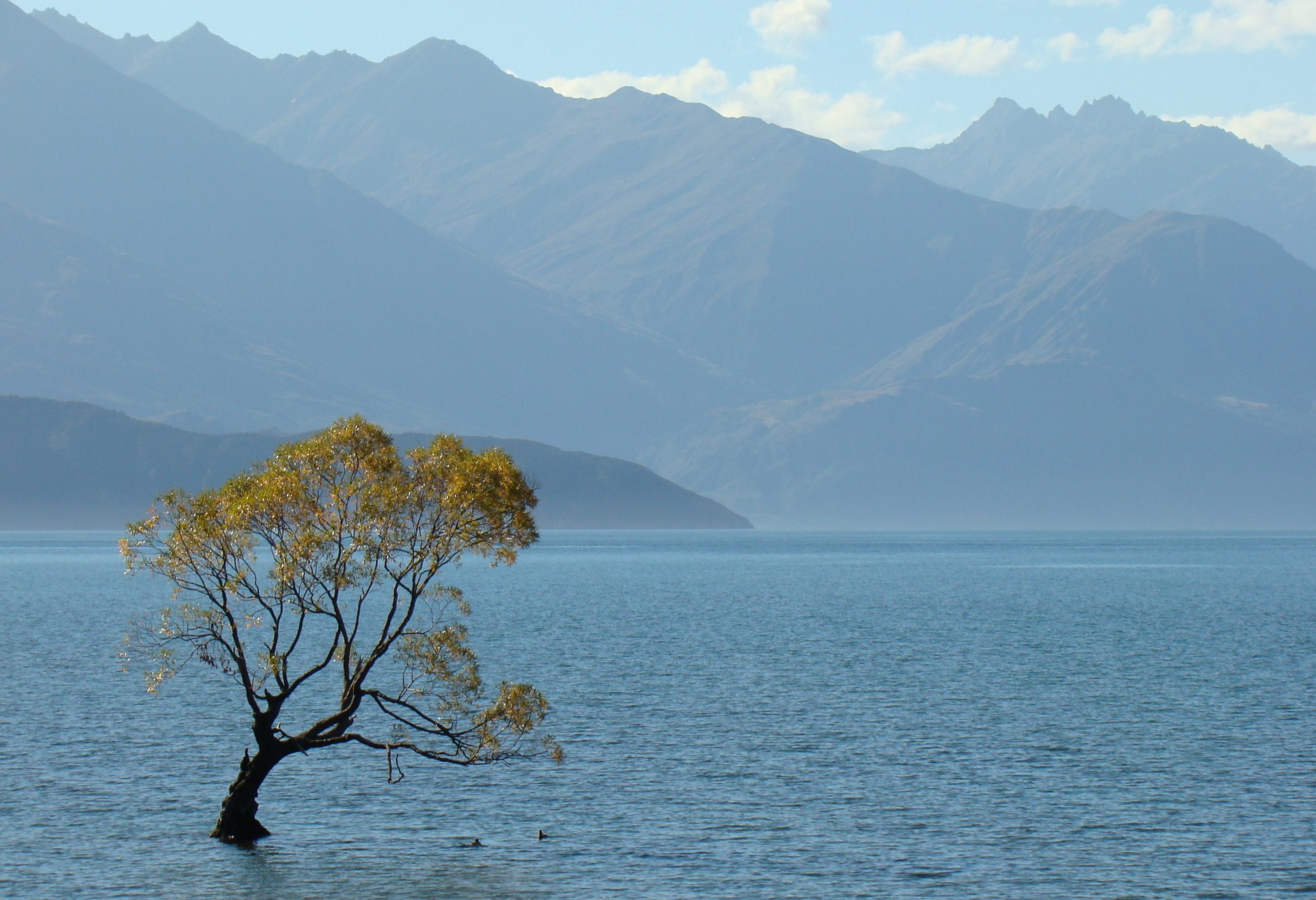 Lake Taupo bij Taupo in Nieuw-Zeeland