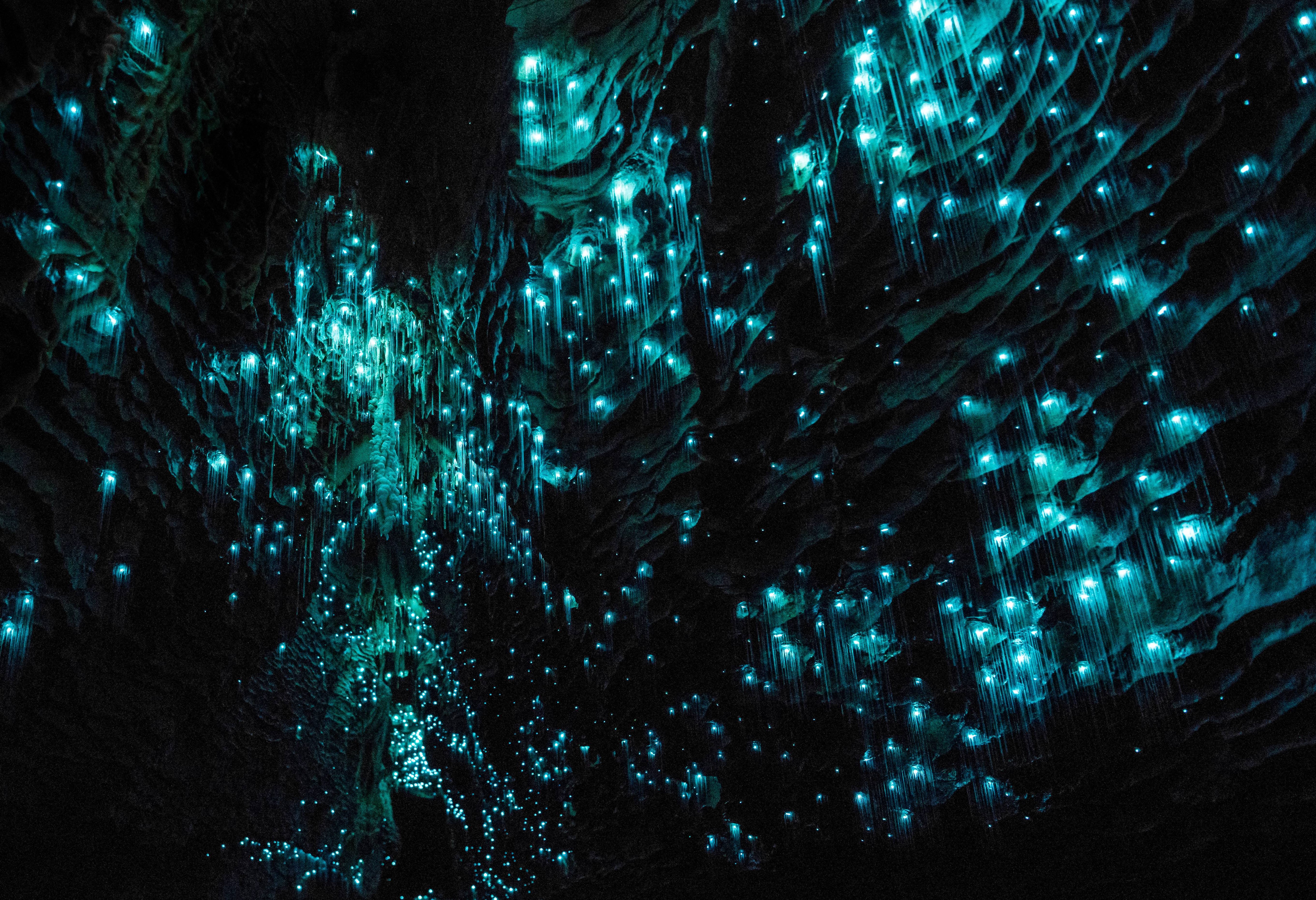 Waitomo caves. Пещеры Вайтомо новая Зеландия. Пещера Уэйтомо Глоуворм (Waitomo Glowworm), новая Зеландия:. Пещеры светлячков Вайтомо. Пещера Вайтомо в новой.