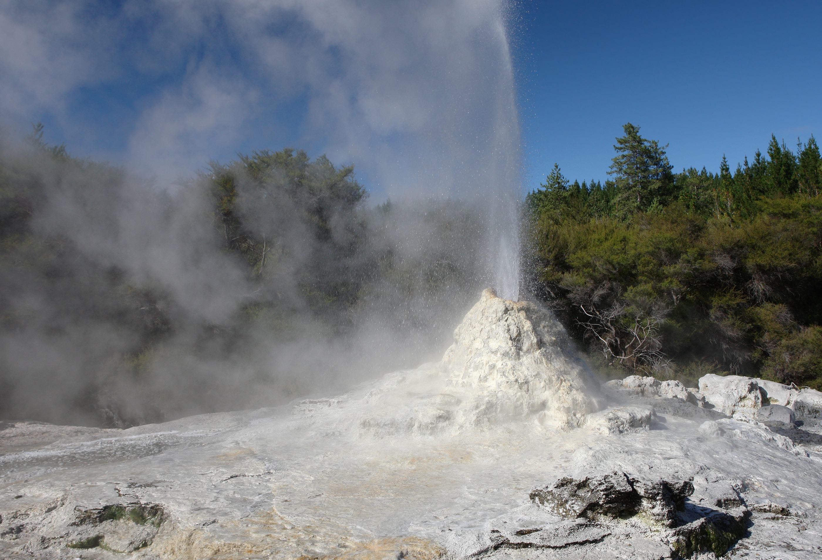 White Lady geiser nabij Rotorua in Nieuw-Zeeland