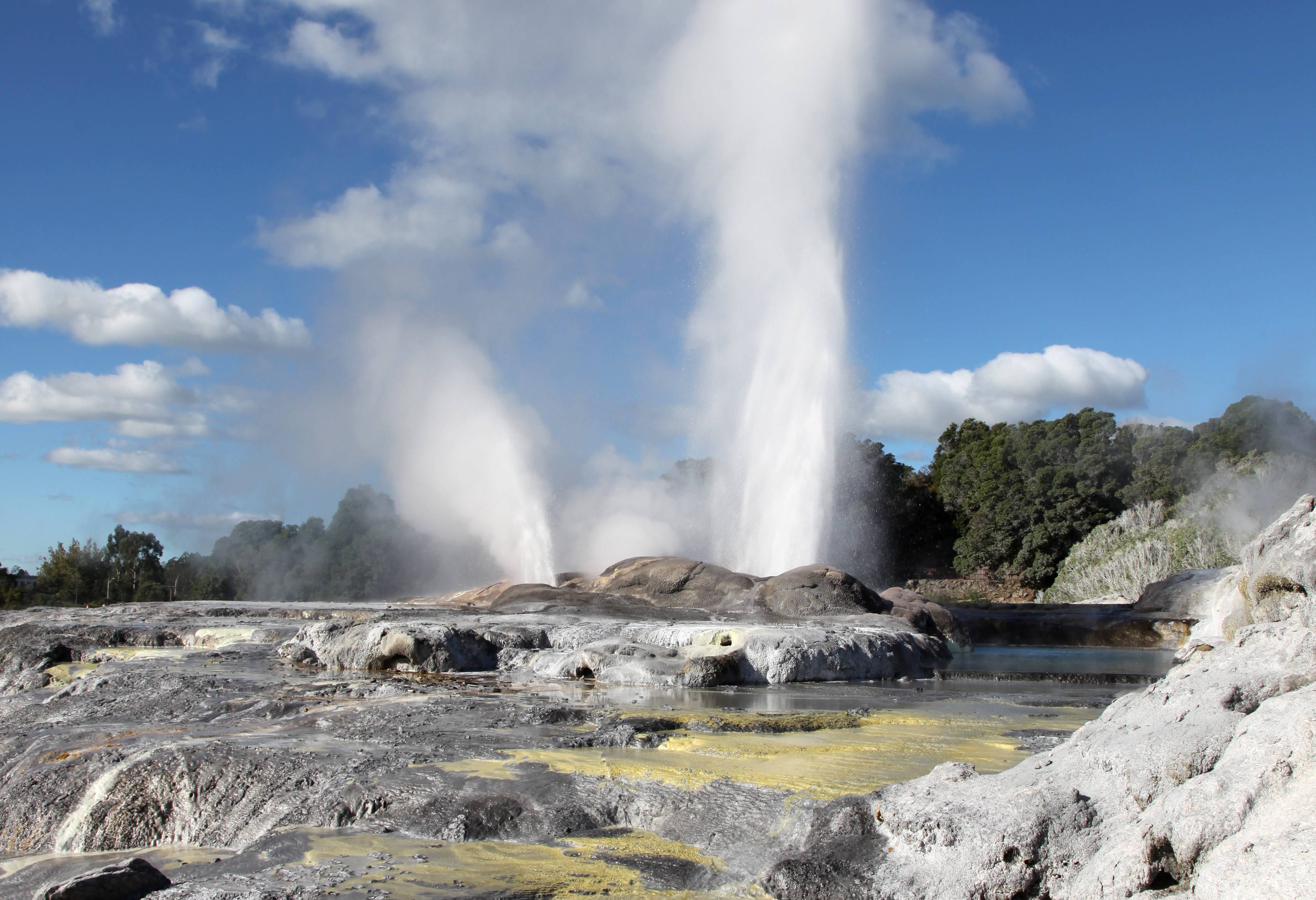Geisers in Te Puia bij Rotorua in Nieuw-Zeeland