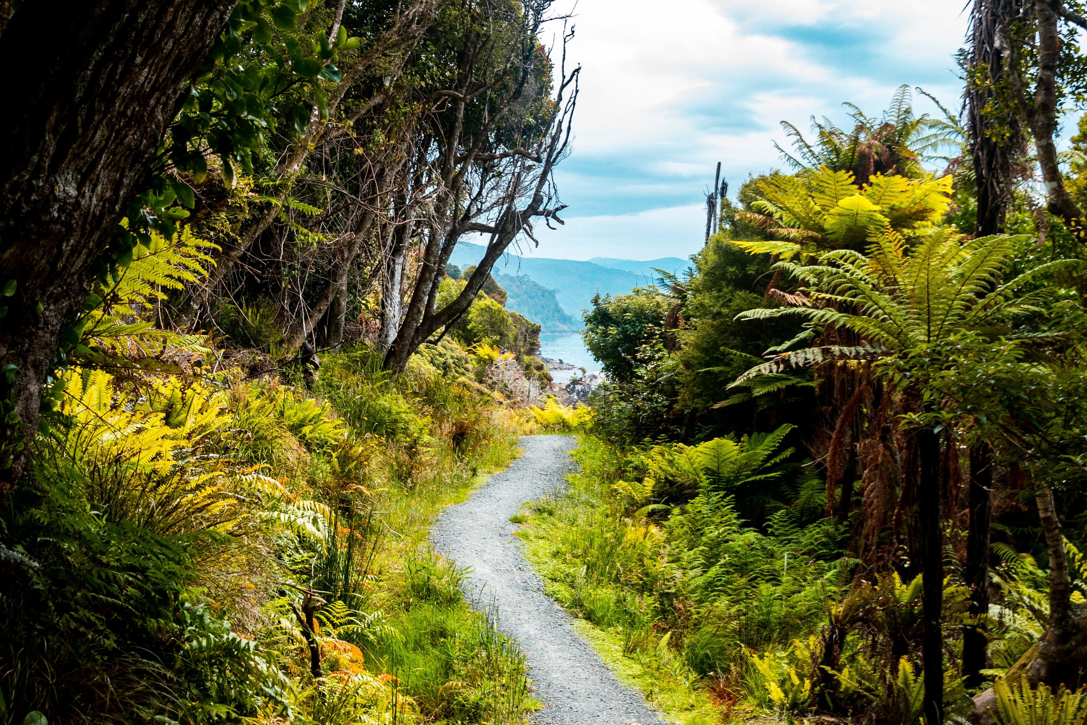 Wandelen op Stewart Island in Nieuw-Zeeland