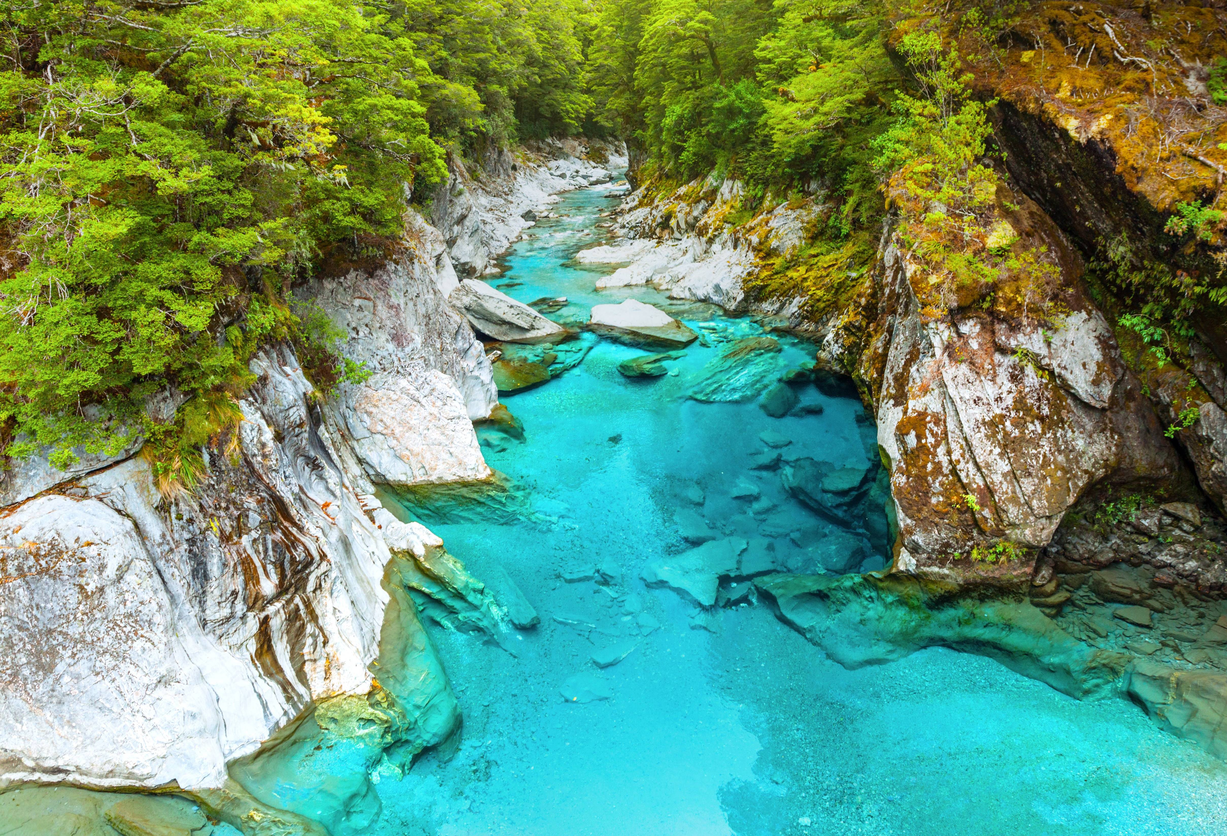 Haast Pas in de Zuidelijke Alpen op het Zuidereiland van Nieuw-Zeeland