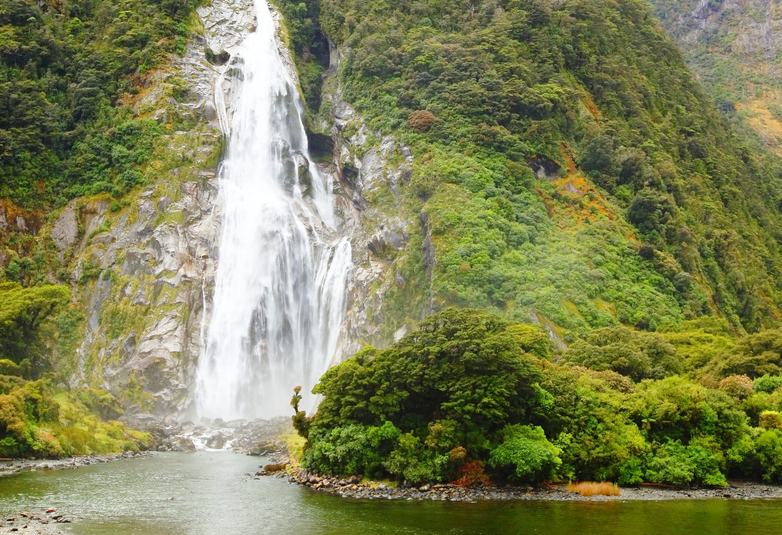 Milford Sound in Fiordland National Park in Nieuw-Zeeland