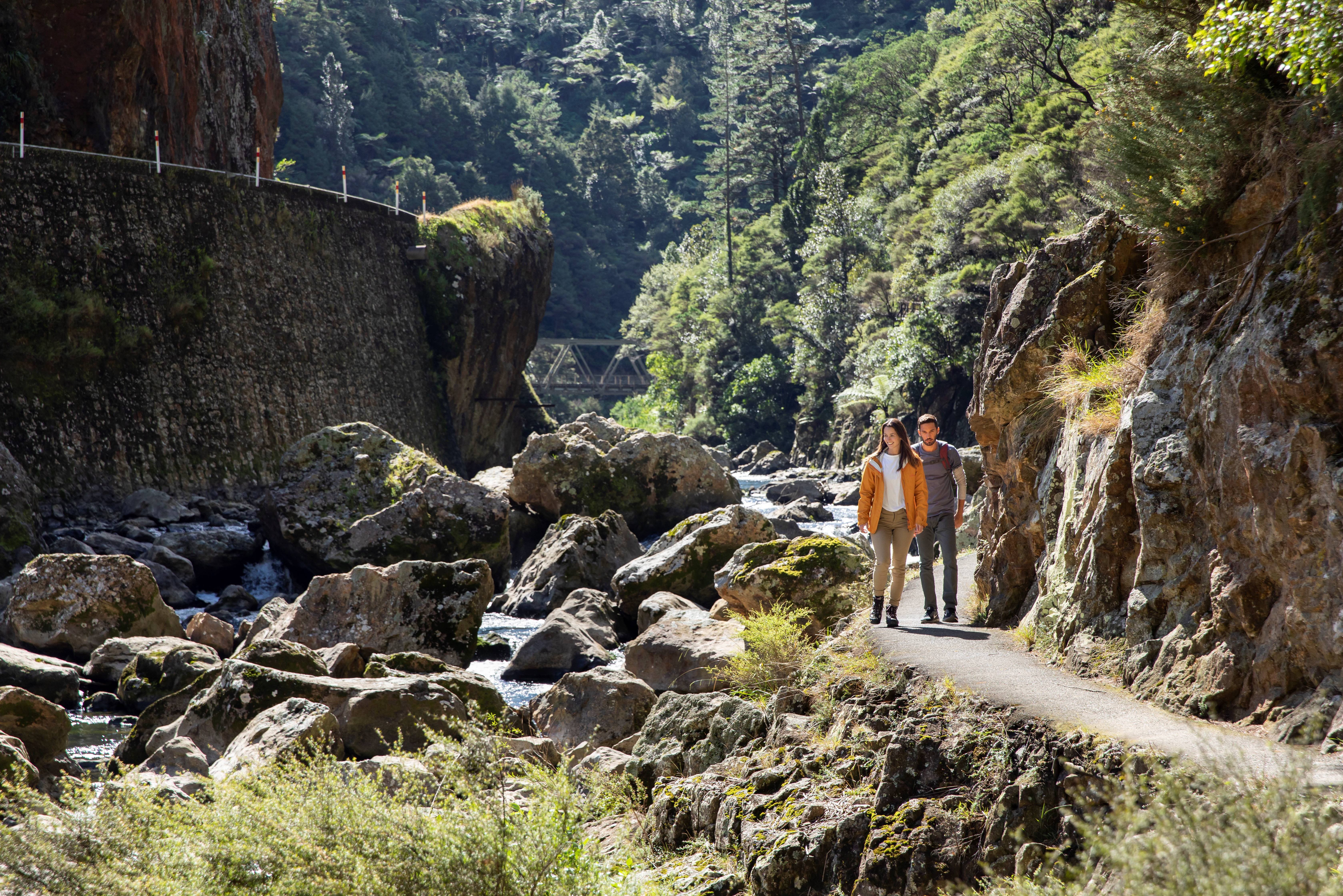 Wandelen in de Coromandel in Nieuw-Zeeland
