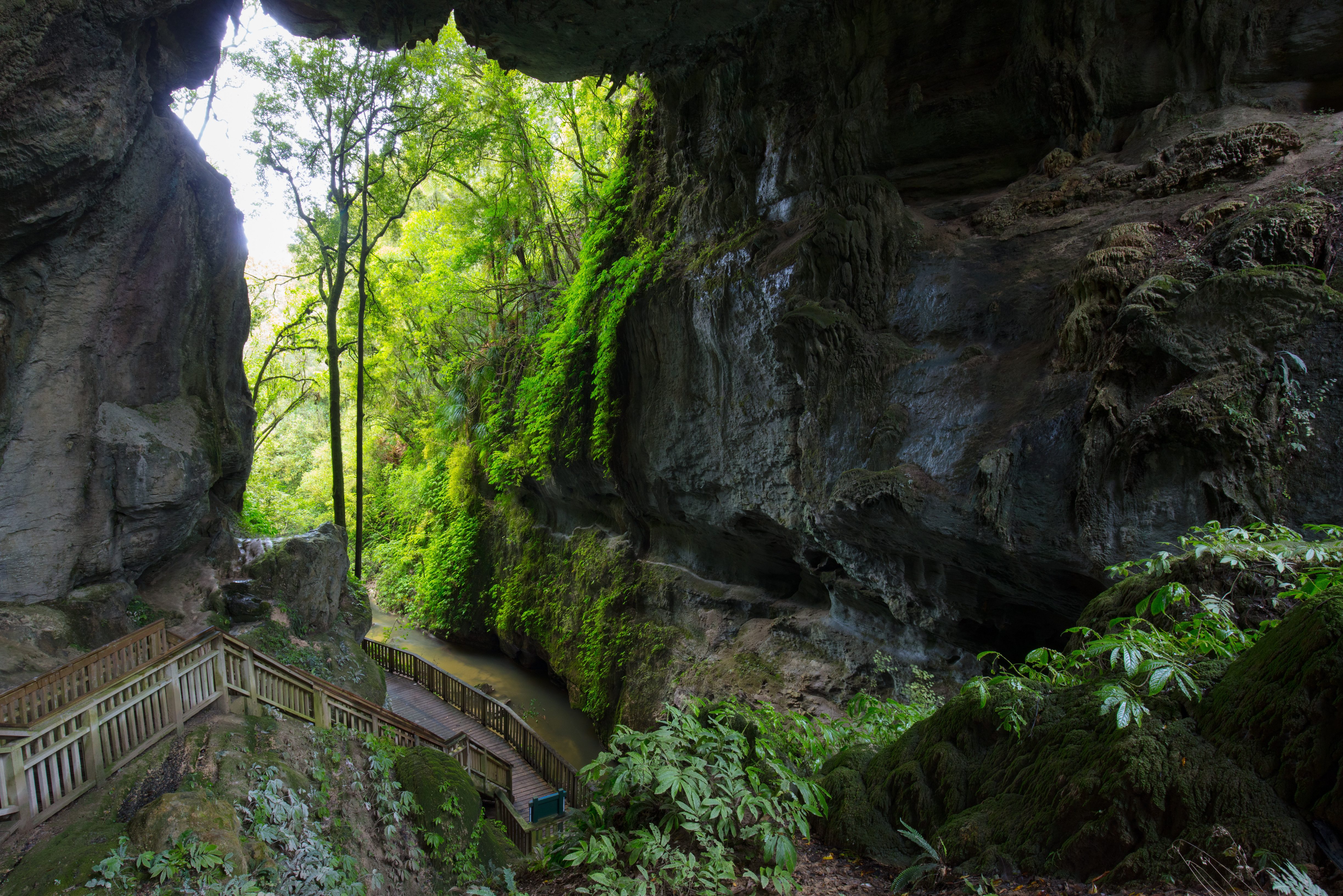 Waitomo glimwormgrotten nabij Waikato in Nieuw-Zeeland
