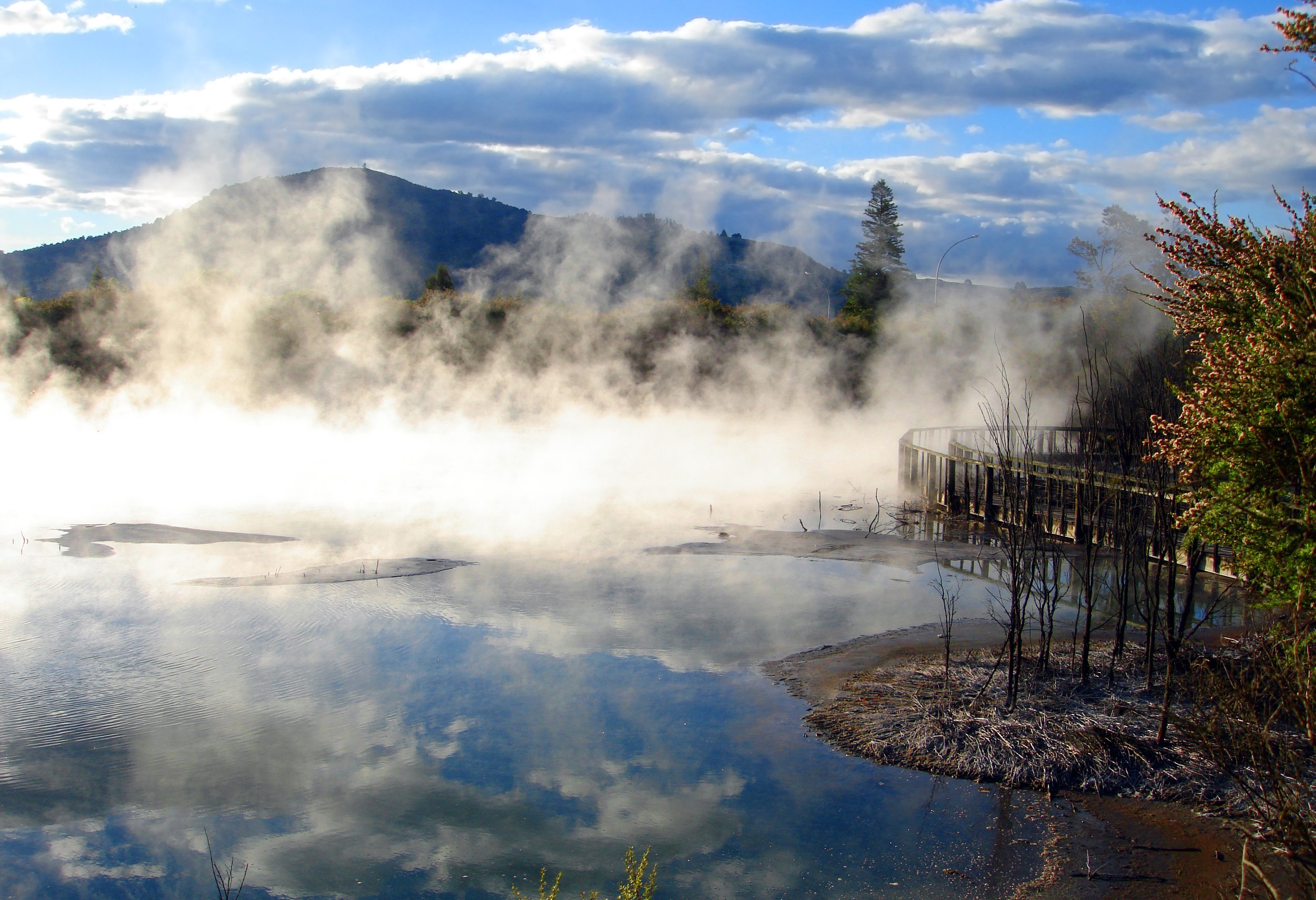 Kuirau Park nabij Rotorua in Nieuw-Zeeland