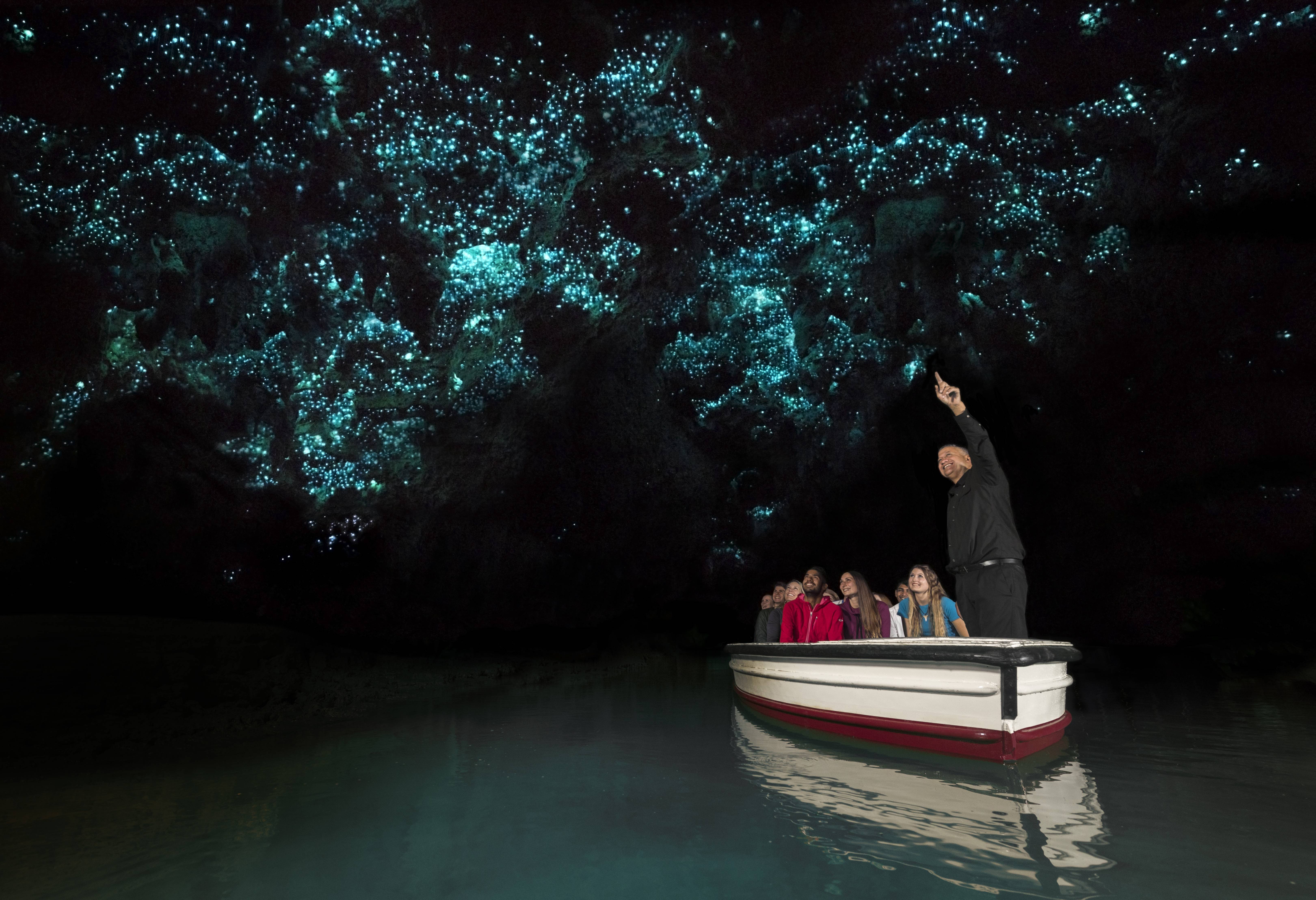 Waitomo glimwormgrotten in Waikato in Nieuw-Zeeland