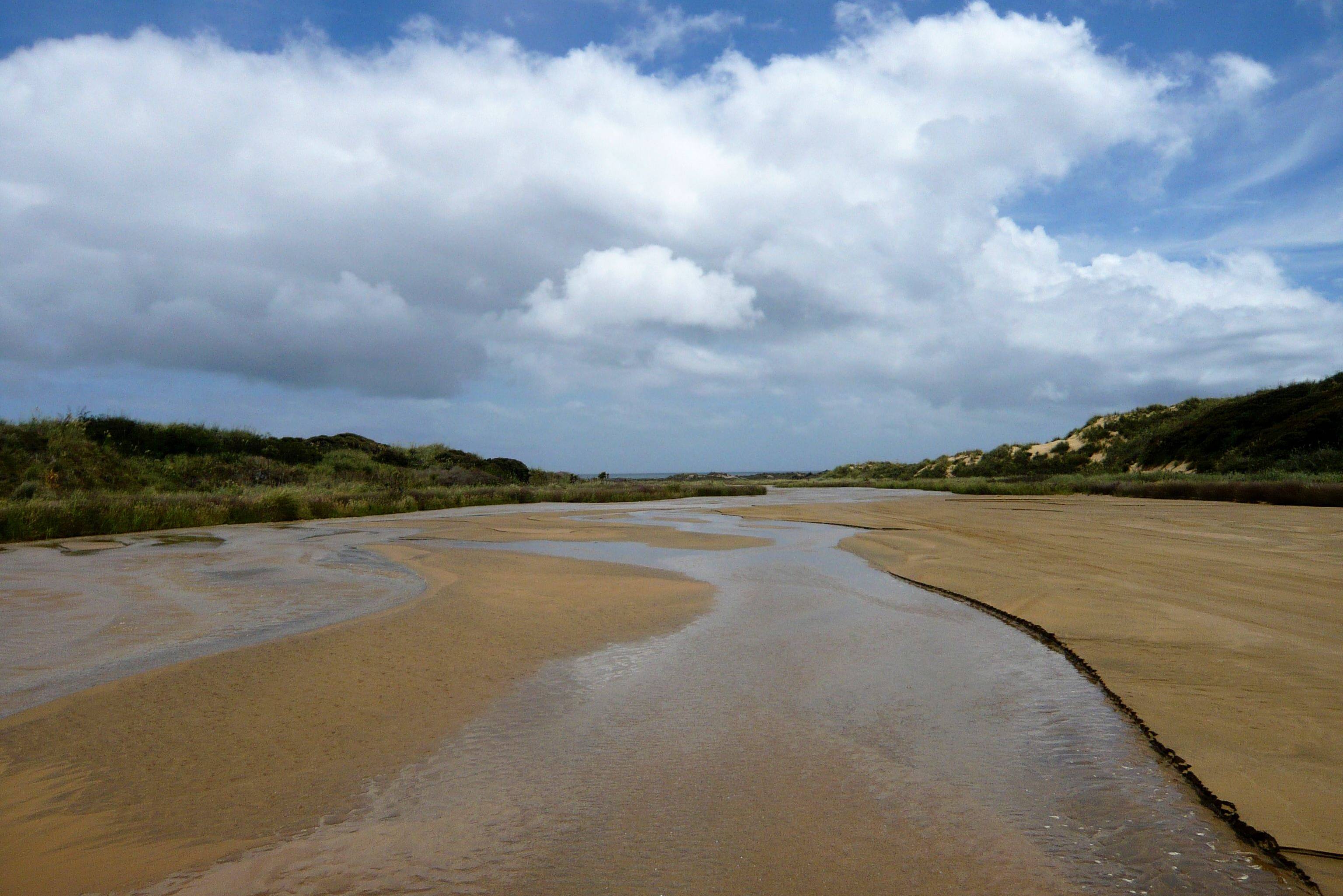 Ninety Mile Beach in Northland in Nieuw-Zeeland