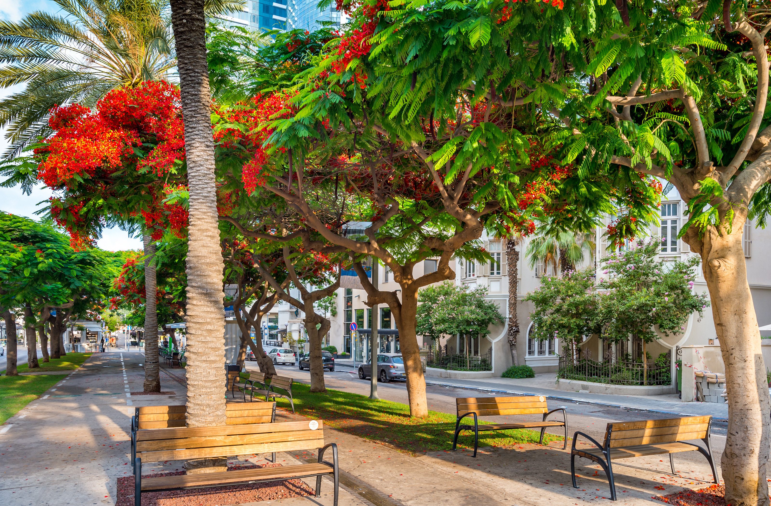 Rothschild boulevard Tel Aviv