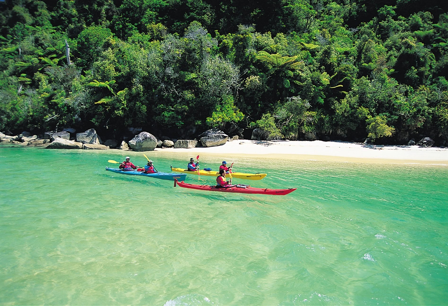 Kajakken met Wilsons Abel Tasman in Abel Tasman National Park in Nieuw-Zeeland