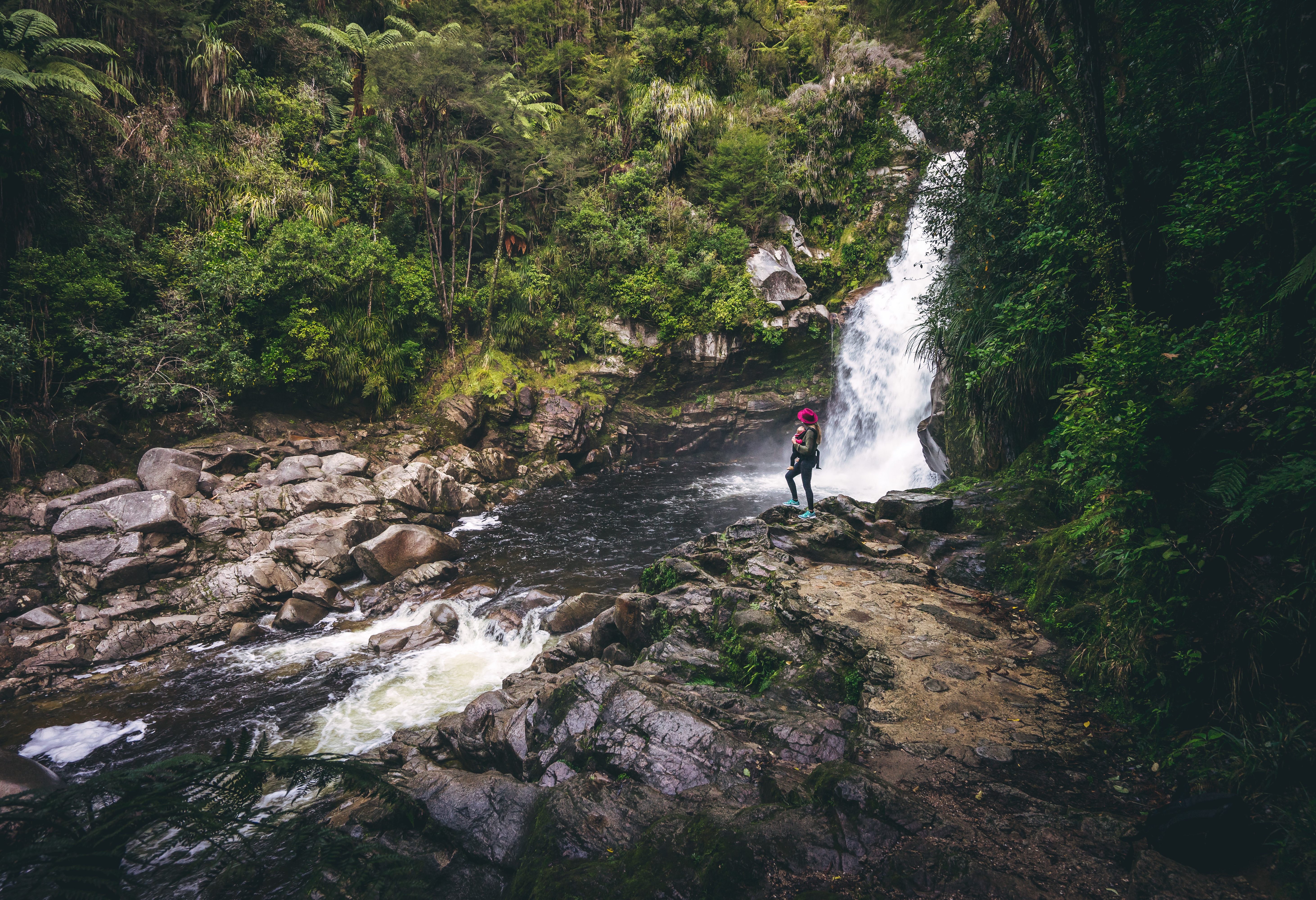 Wainui watervallen in Abel Tasman National Park in Nieuw-Zeeland