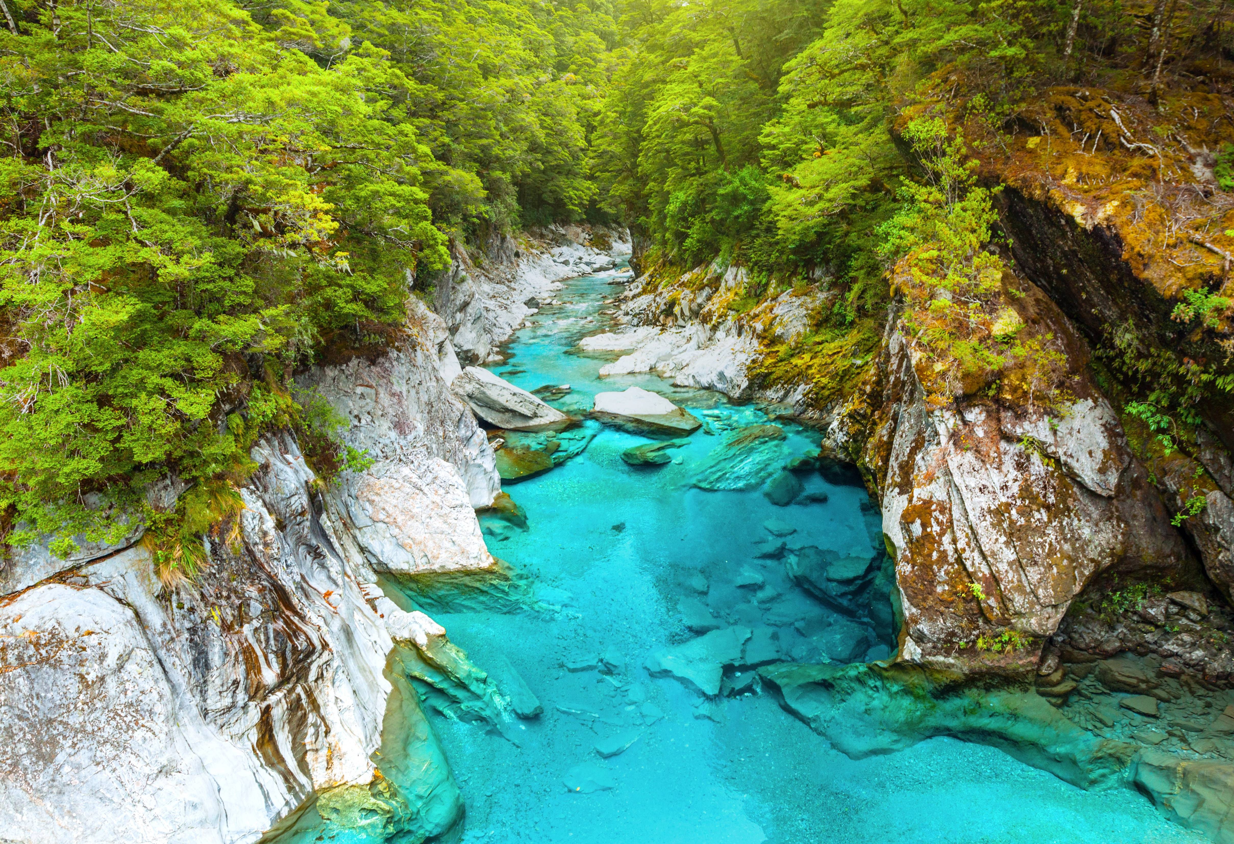 Haast Pass door de Zuidelijke Alpen in Nieuw-Zeeland