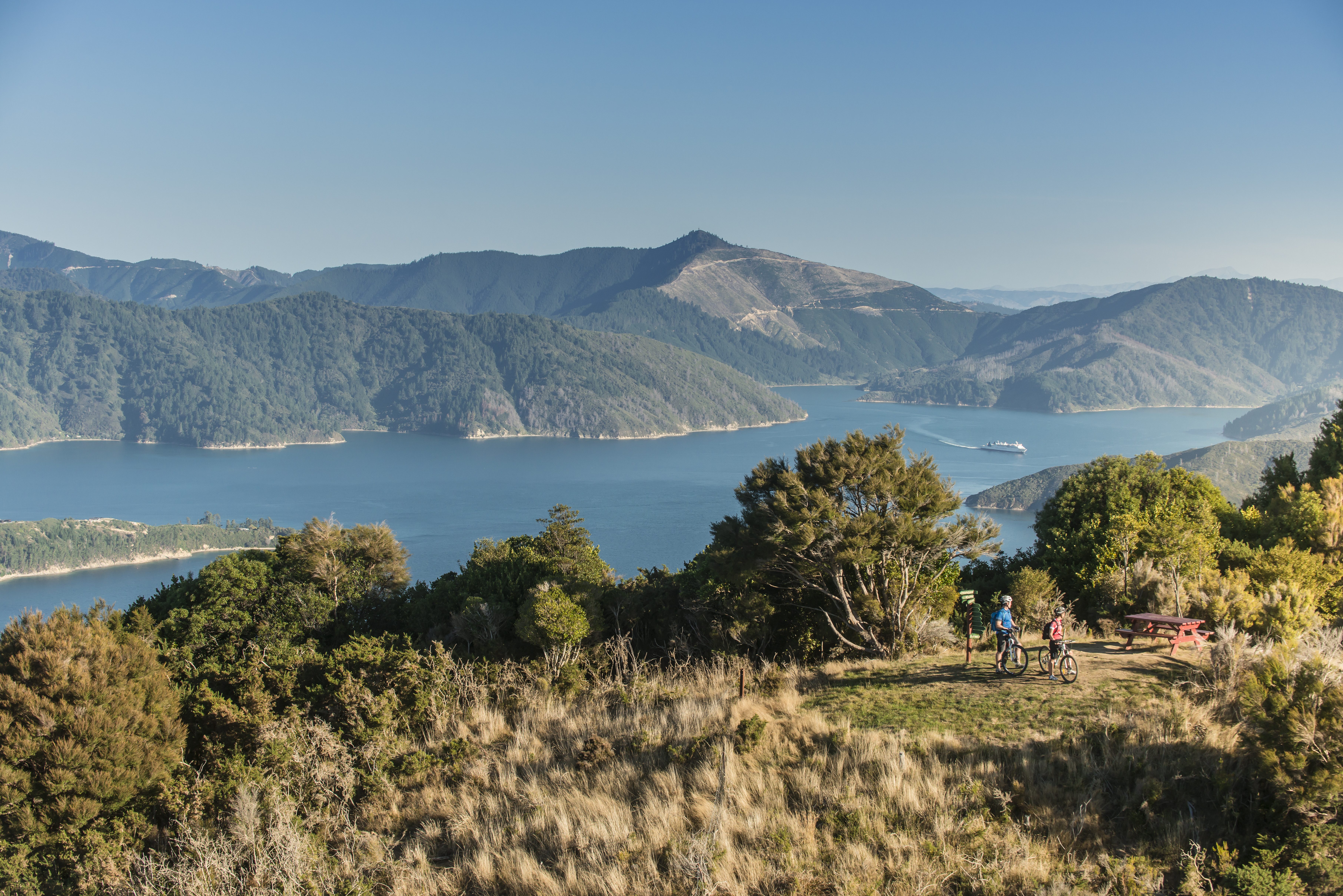 Landschap van de Marlborough Sounds in Nieuw-Zeeland