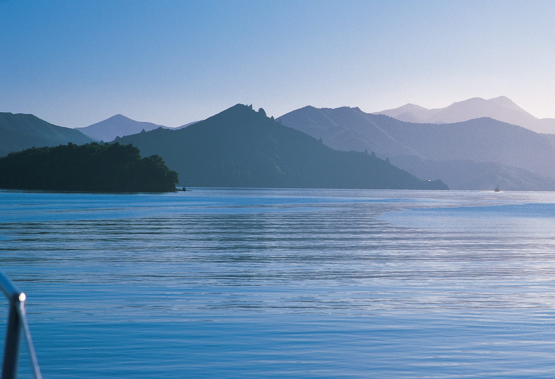 Boottocht door de Marlborough Sounds in Nieuw-Zeeland