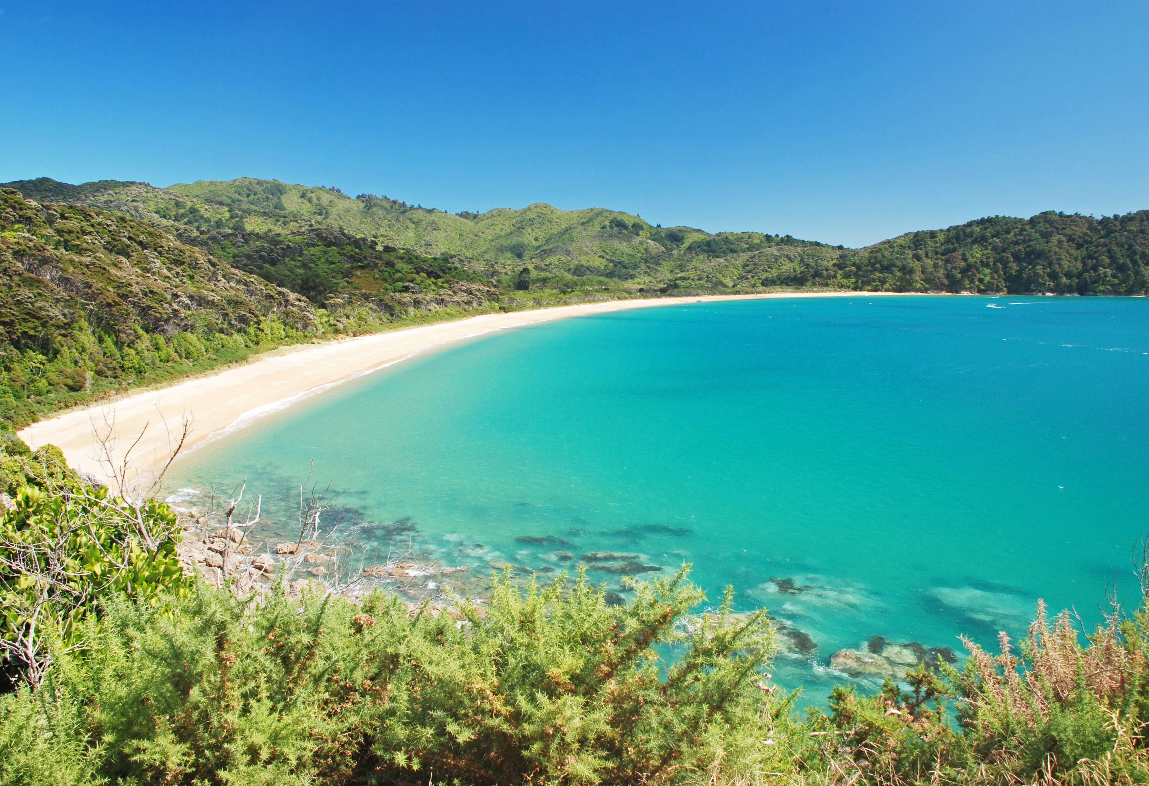 Baai in Abel Tasman National Park in Nieuw-Zeeland