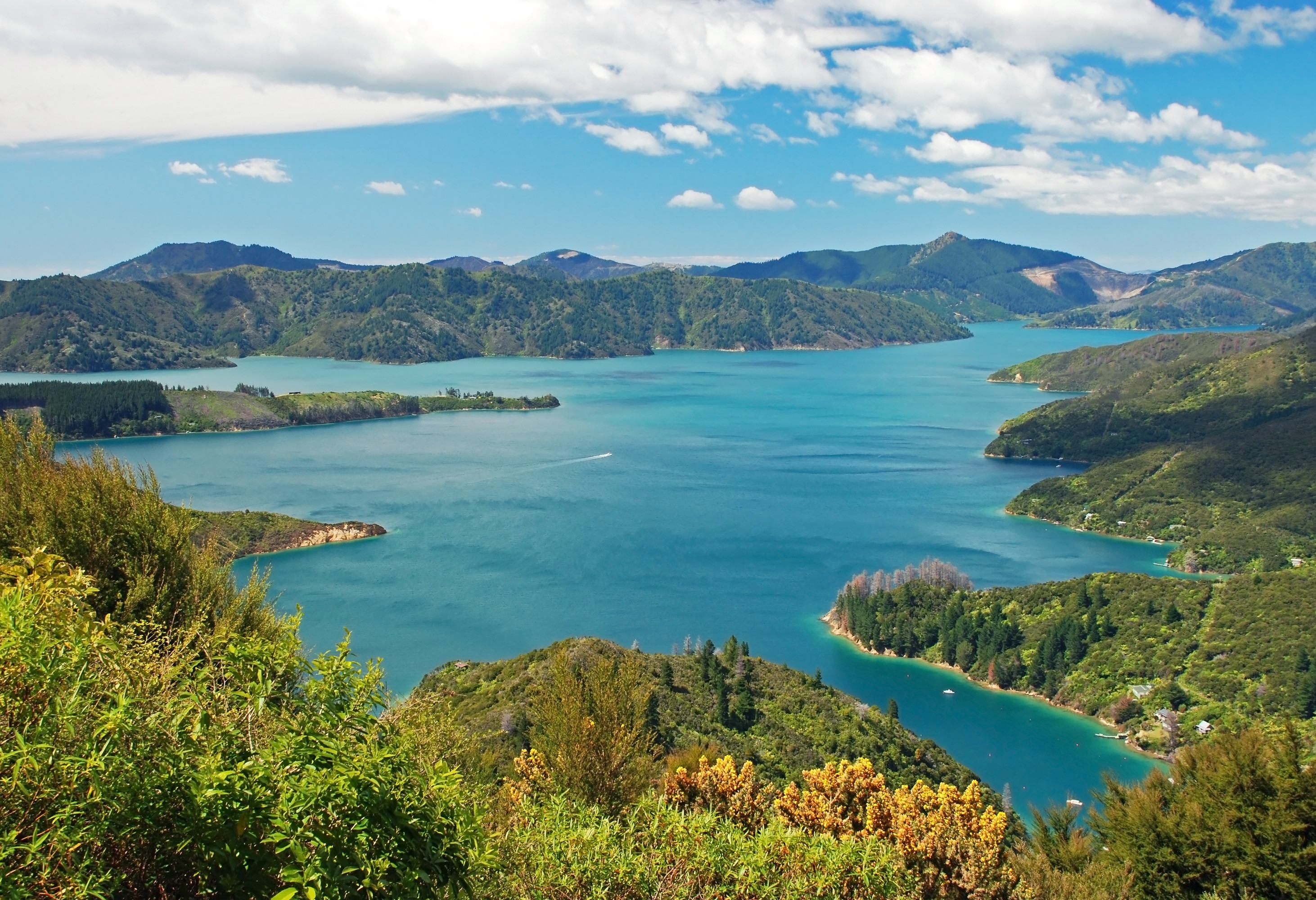Uitzicht over de Marlborough Sounds in Nieuw-Zeeland