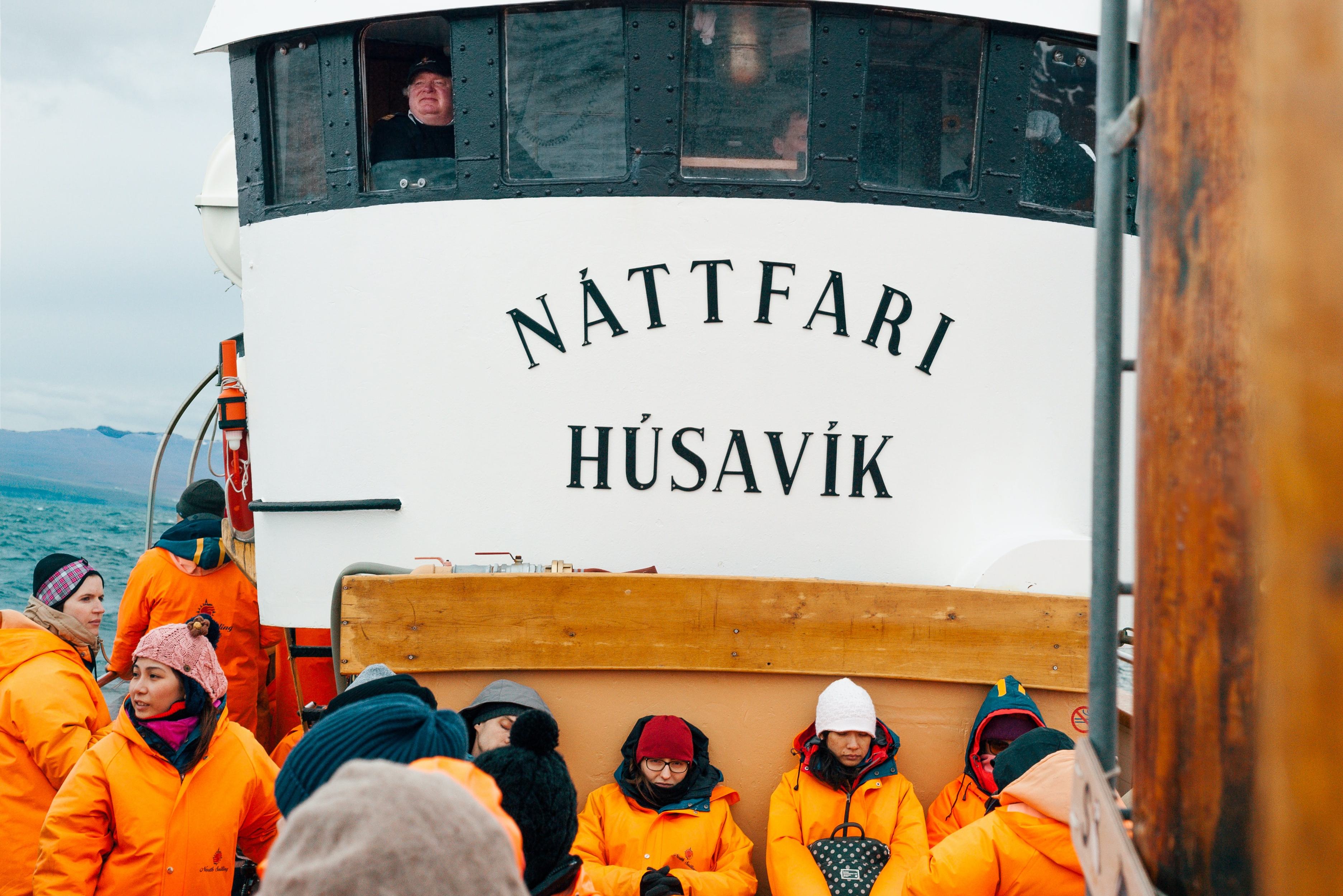 Walvis safari in Husavik in IJsland