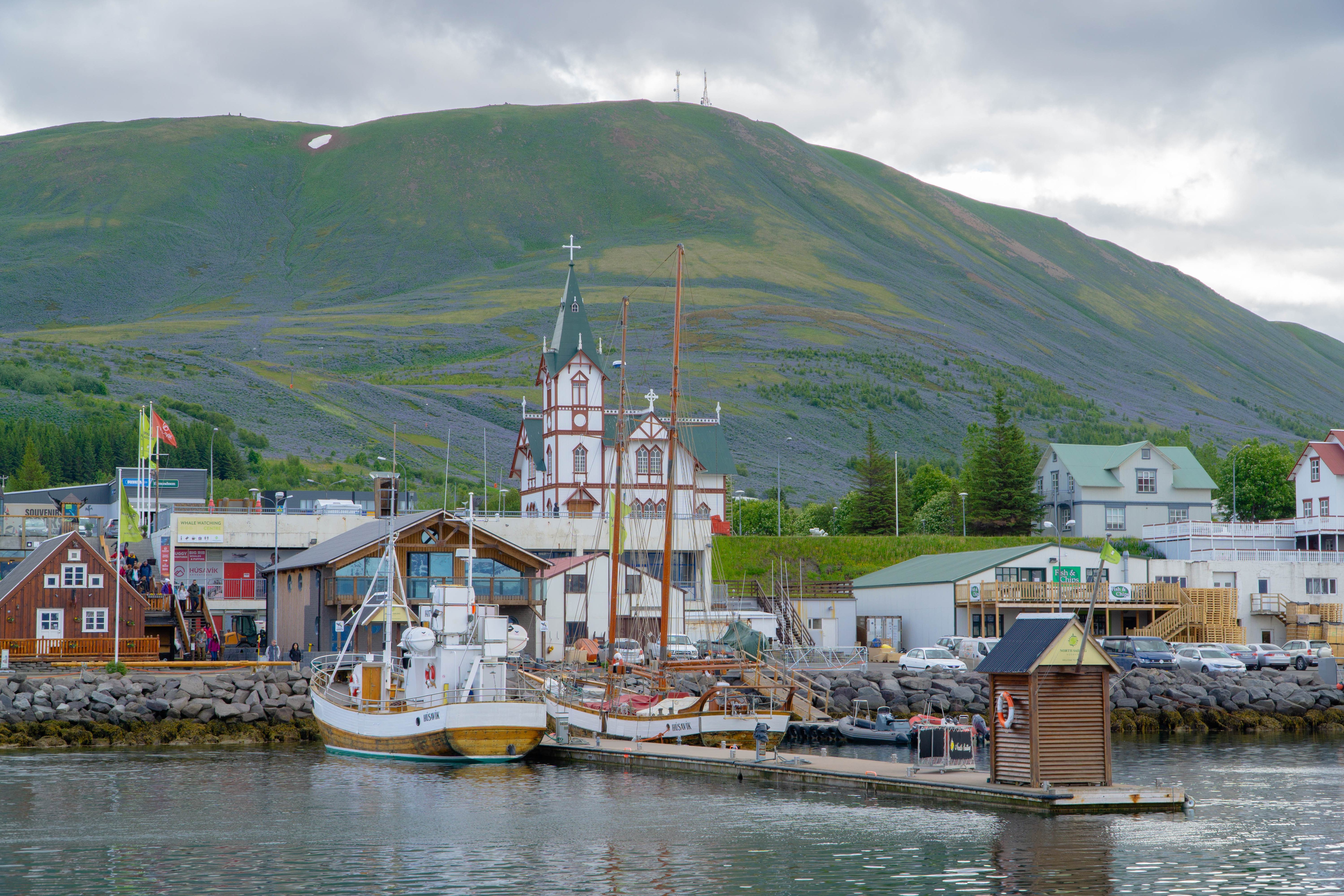 Husavik de walvis hoofdstad van IJsland