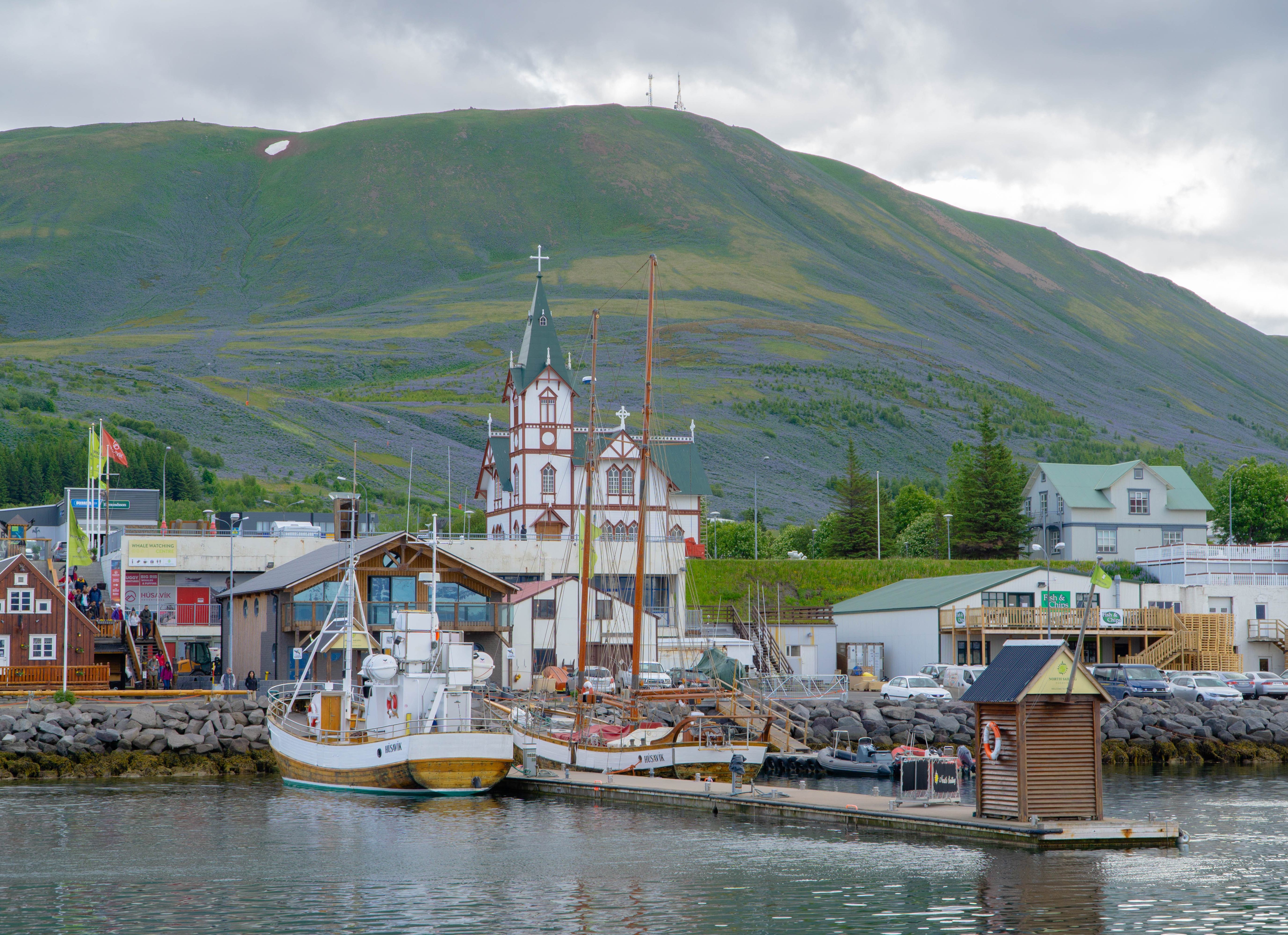 Walvis hoofdstad Húsavík in IJsland