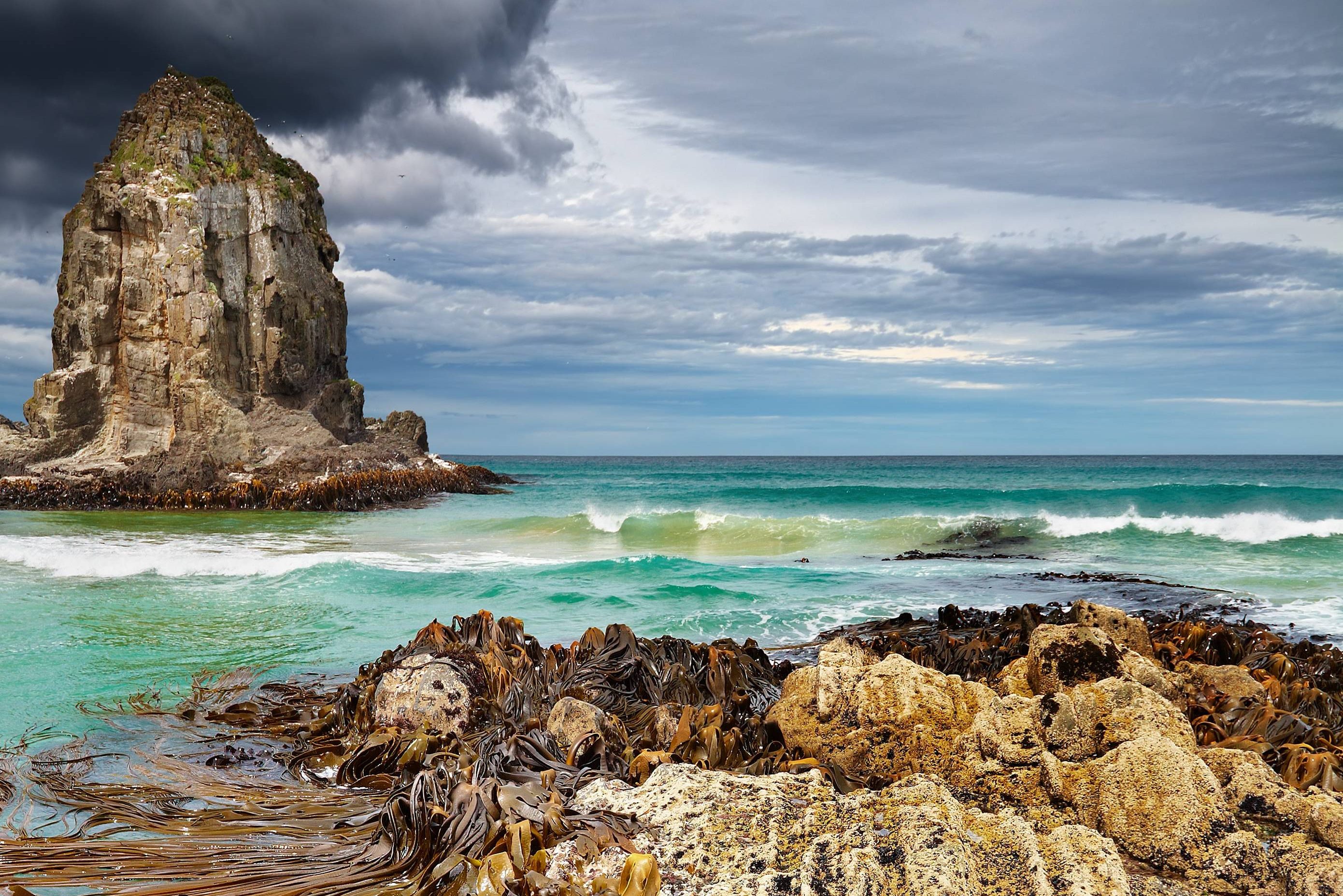 Cannibal Bay in The Catlins in Nieuw-Zeeland