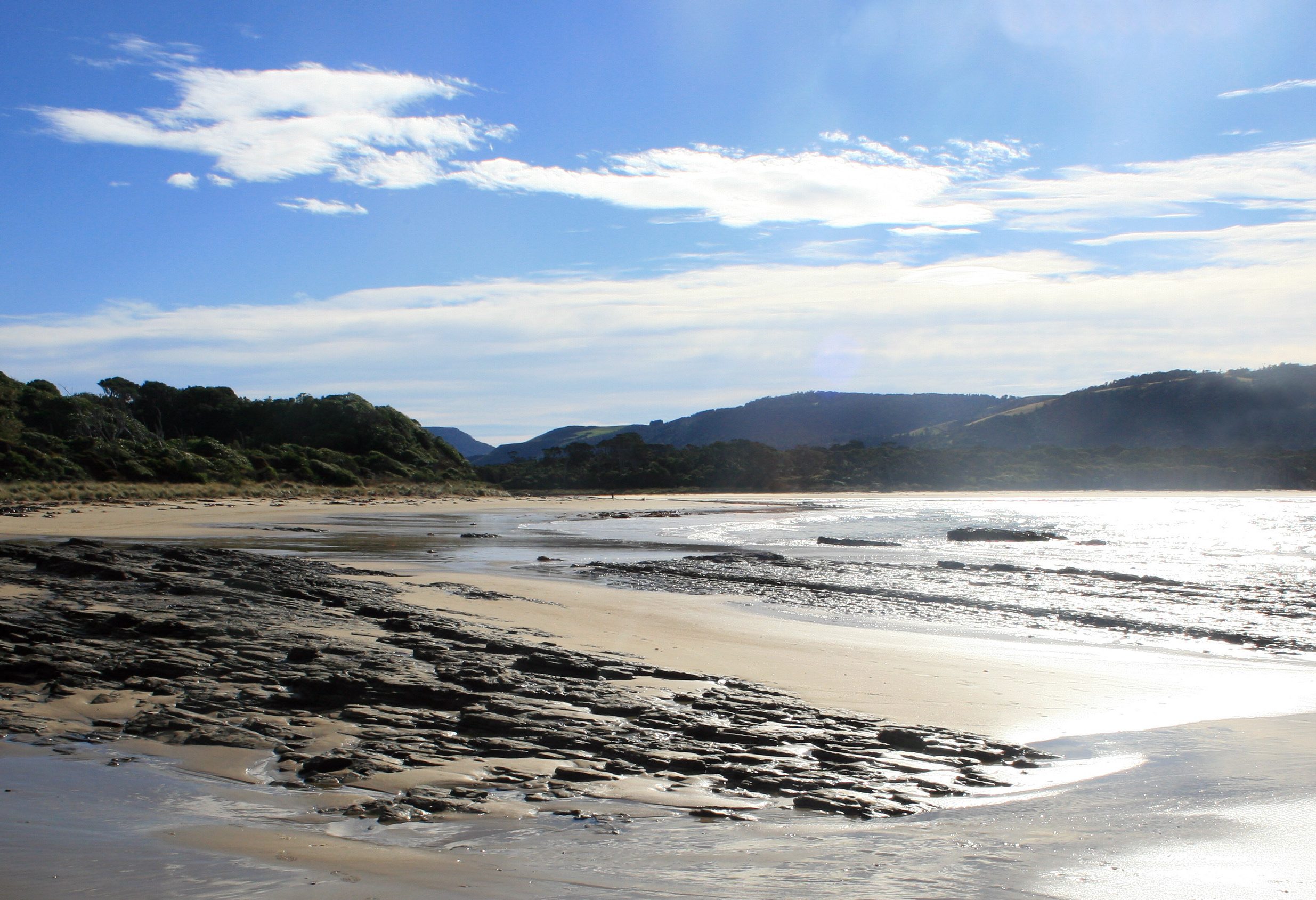 Kust in The Catlins in Nieuw-Zeeland