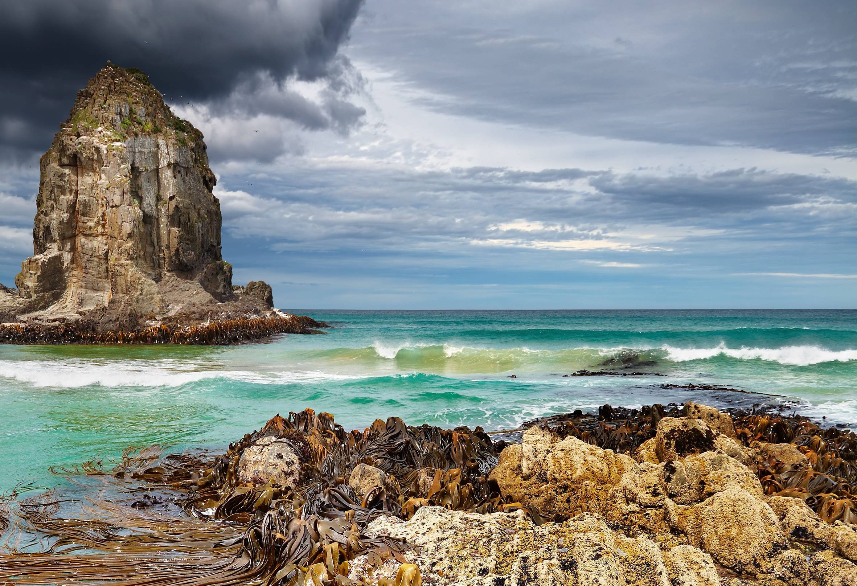 Kust in The Catlins in Nieuw-Zeeland