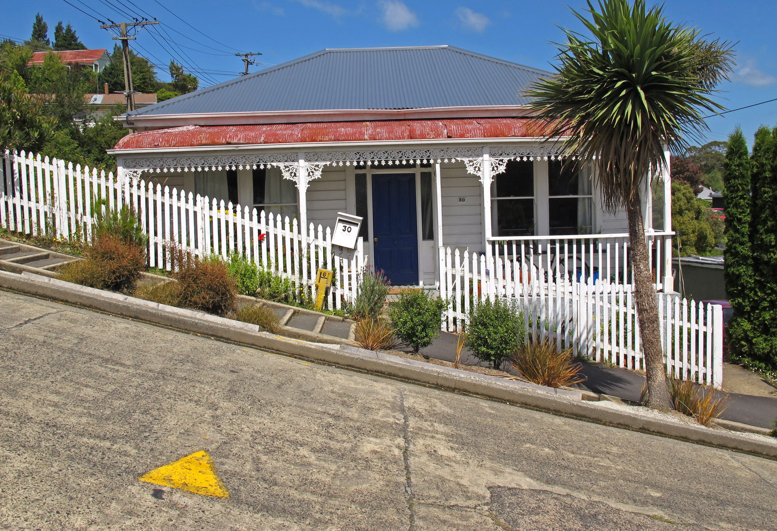 Baldwin Street de steilste straat ter wereld in Dunedin in Nieuw-Zeeland