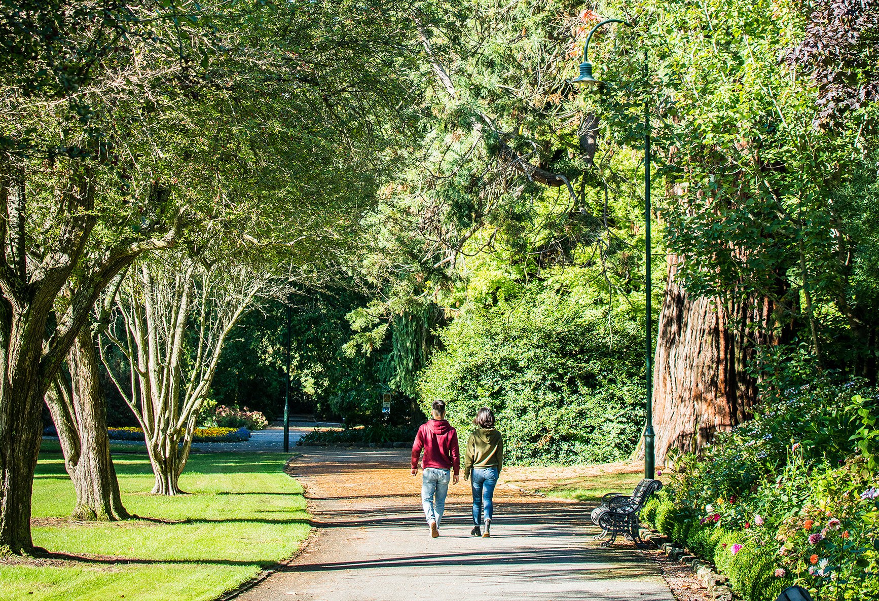 Wandelen in Ashburton Domain in Nieuw-Zeeland