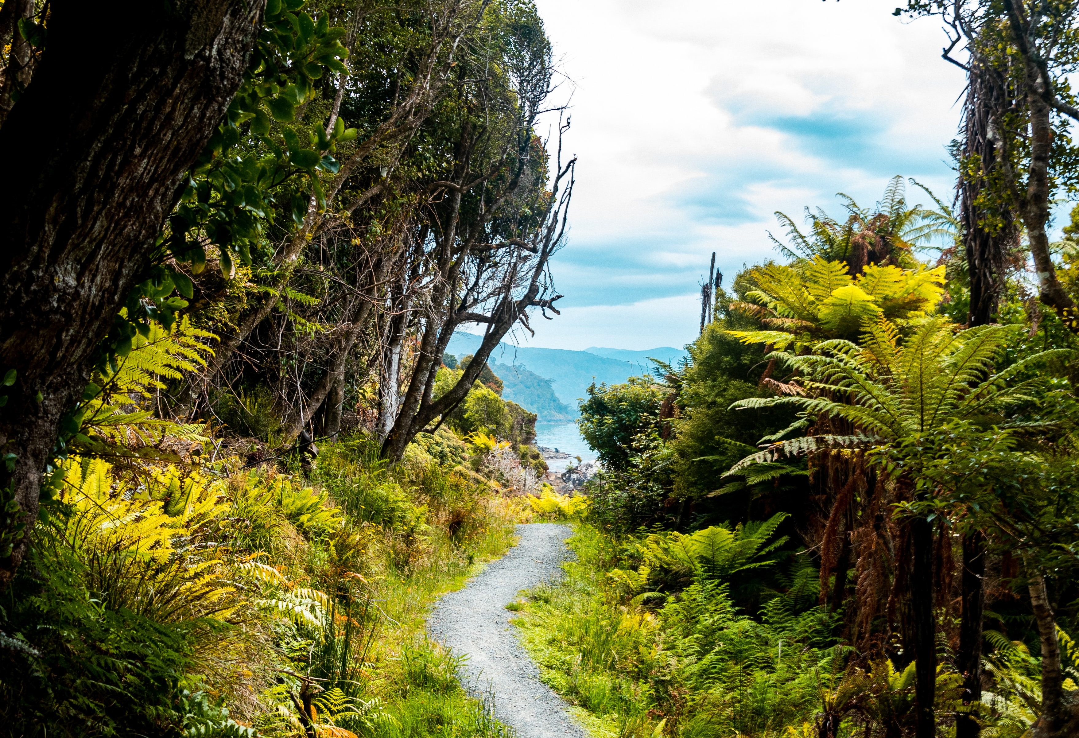 Wandelen op Stewart Island in Nieuw-Zeeland