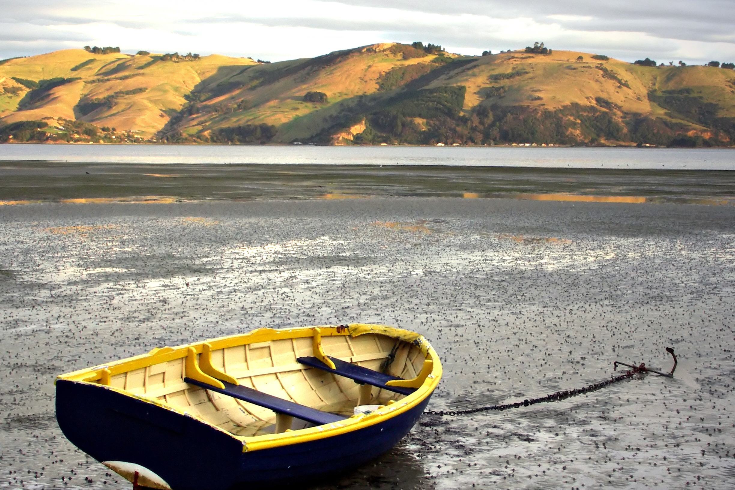 Strand van Otago Peninsula bij eb in Nieuw-Zeeland